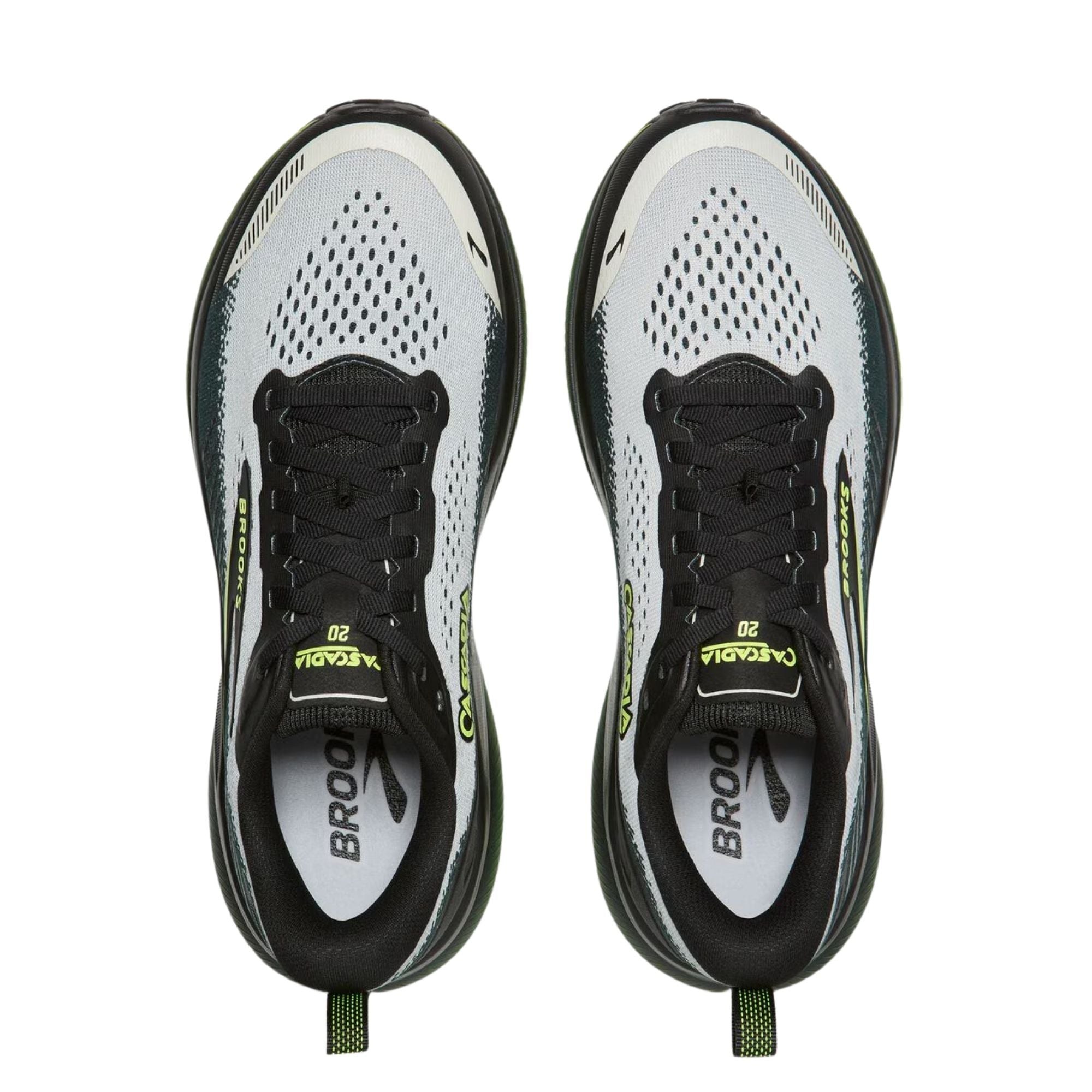 Scarpa Running Uomo Cascadia 20