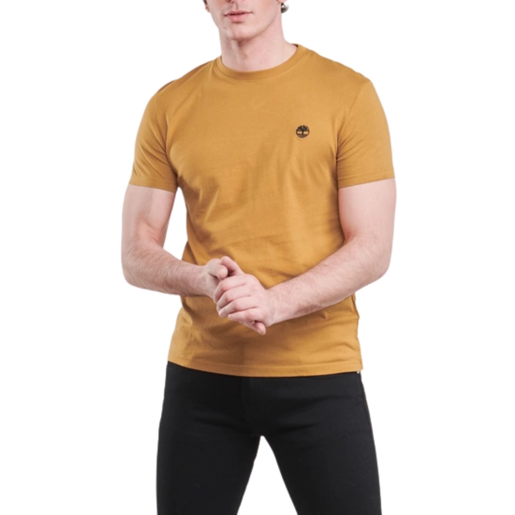 T-shirt Uomo in cotone con logo ricamato