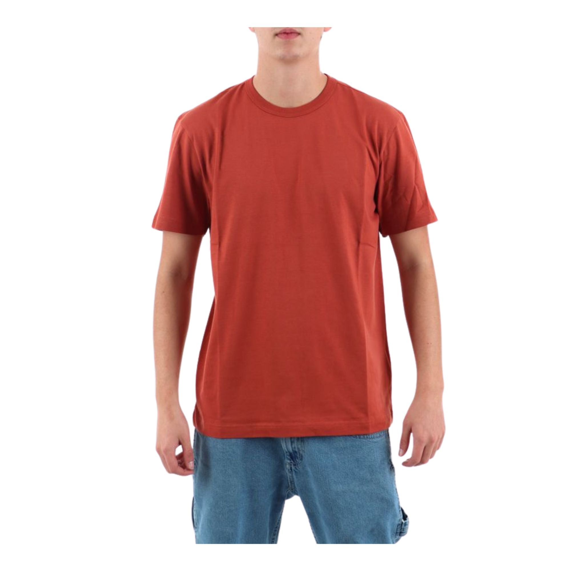 T-shirt Uomo in cotone tinta unita, a maniche corte, con scollatura girocollo