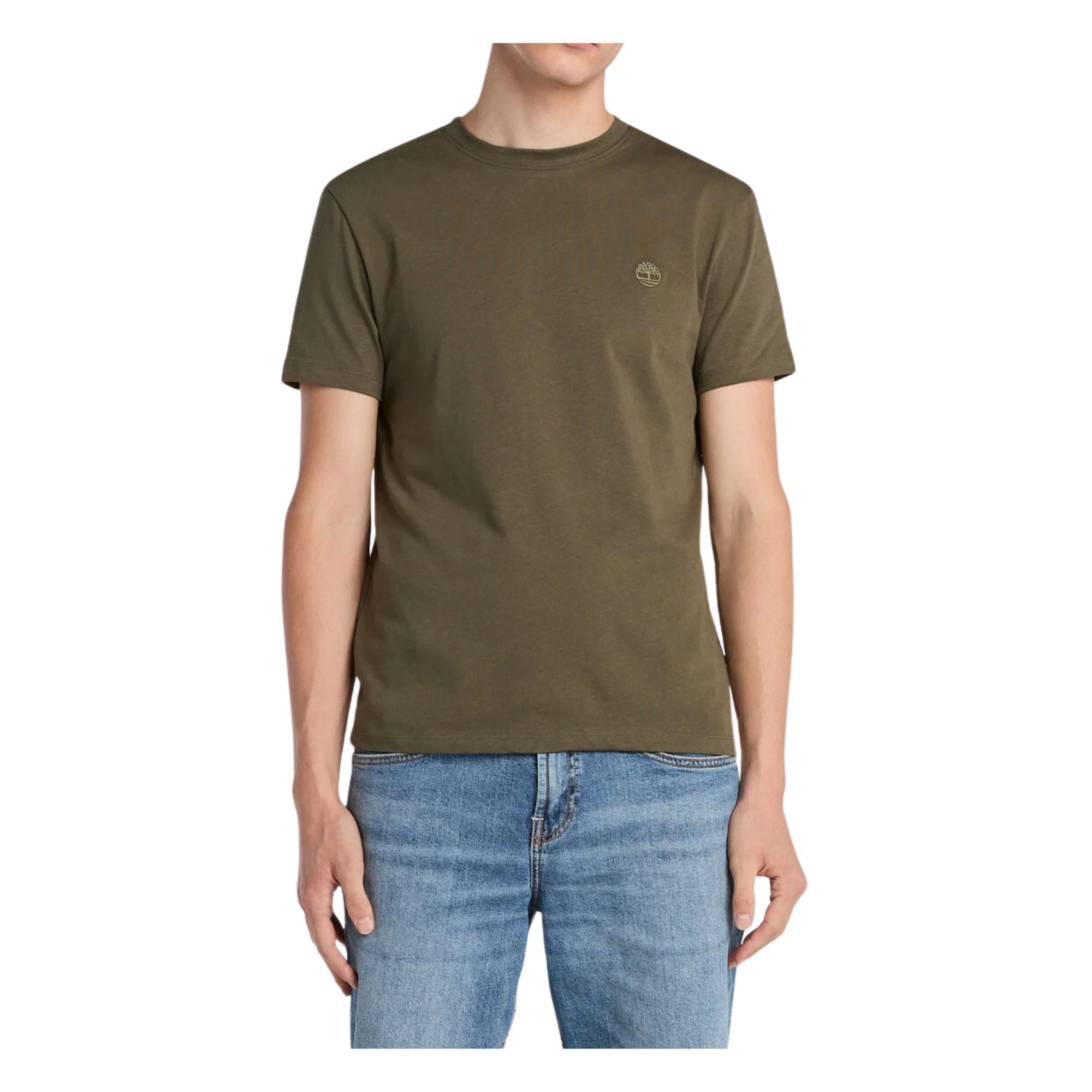T-shirt Uomo modello Dunstan River Verde, con micro logo ricamato