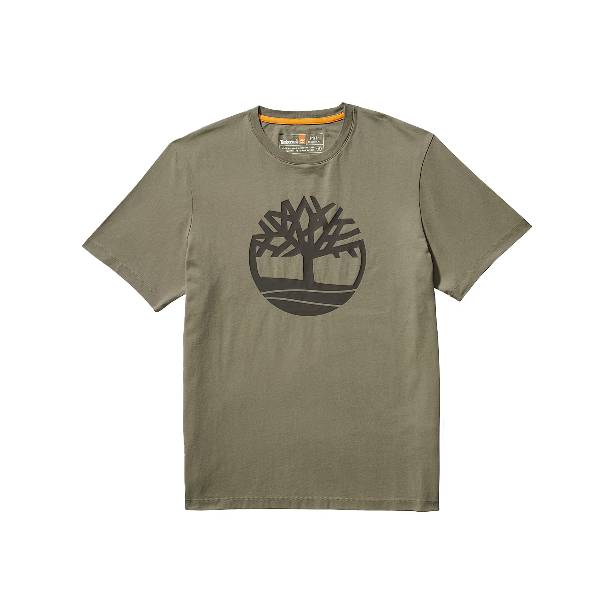 T-shirt Uomo Kennebec River Verde in cotone, a girocollo