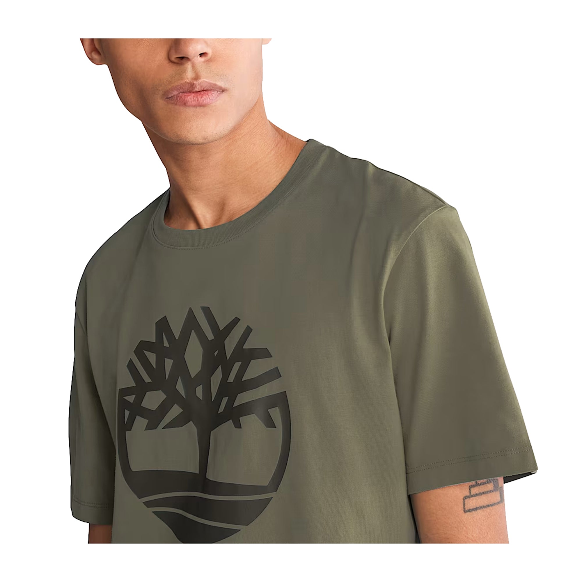 T-shirt Uomo Kennebec River Verde in cotone, a girocollo