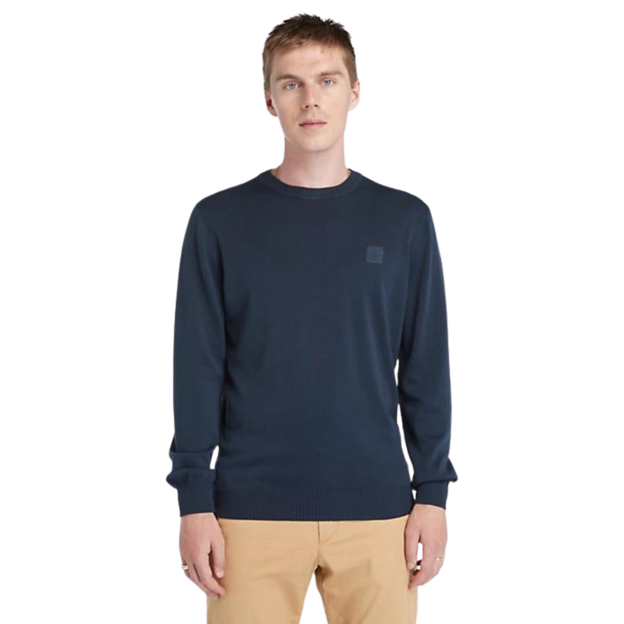Maglione Uomo in Cotone tinta unita Blu modello frontale