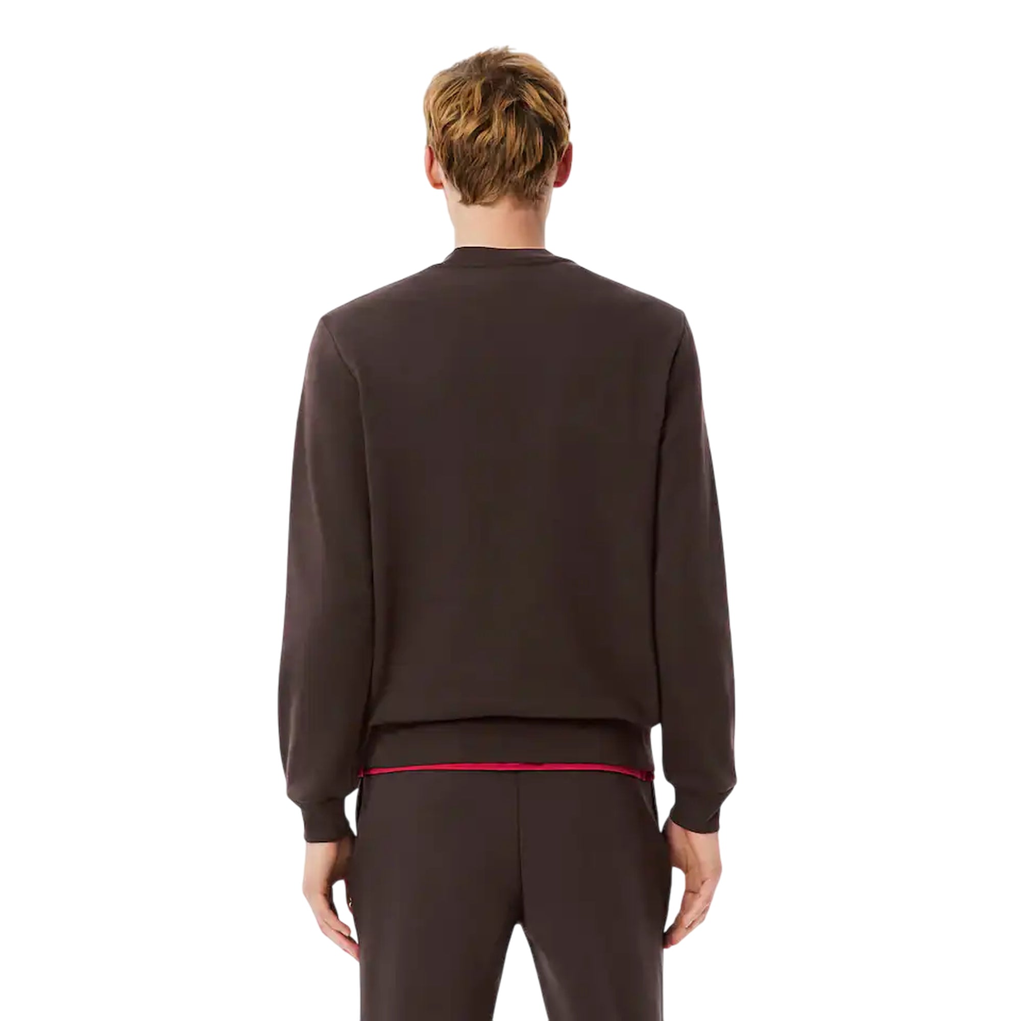 Felpa Uomo Jogger Marrone micro logo