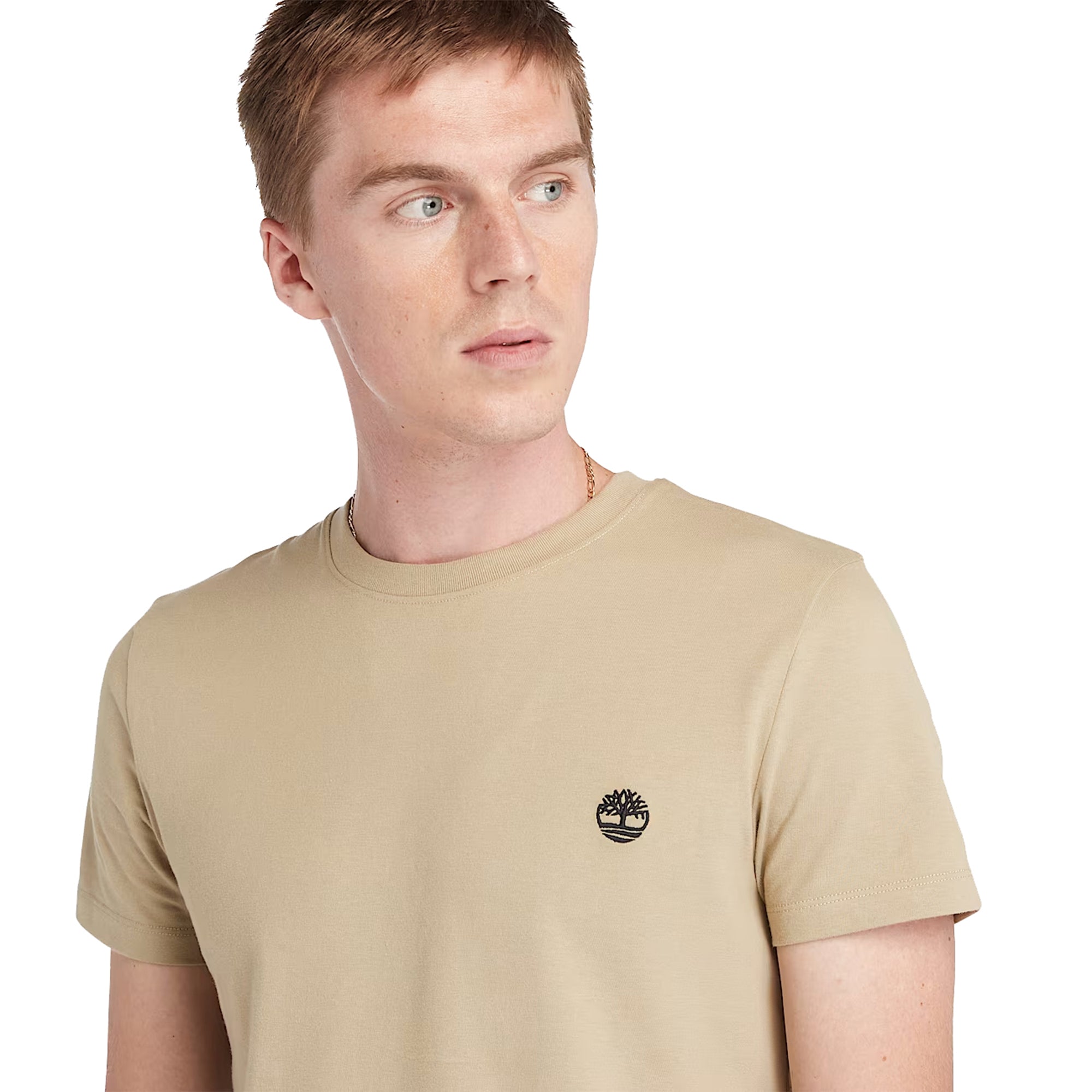 T-shirt Uomo Dunstan River, dal fit slim a girocollo