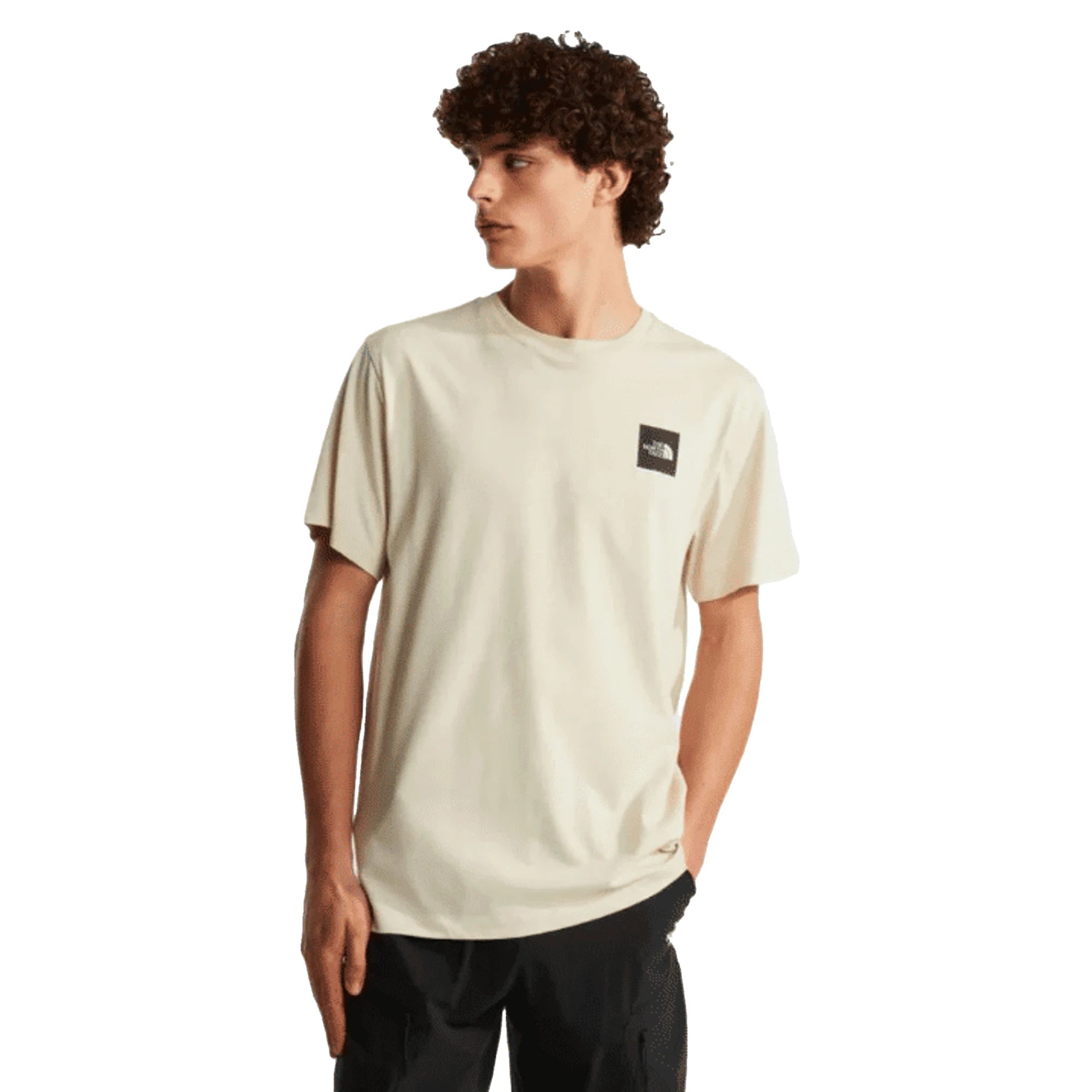 The North Face T-shirt Evolution Box Half Dome Regular Desert Stone Uomo