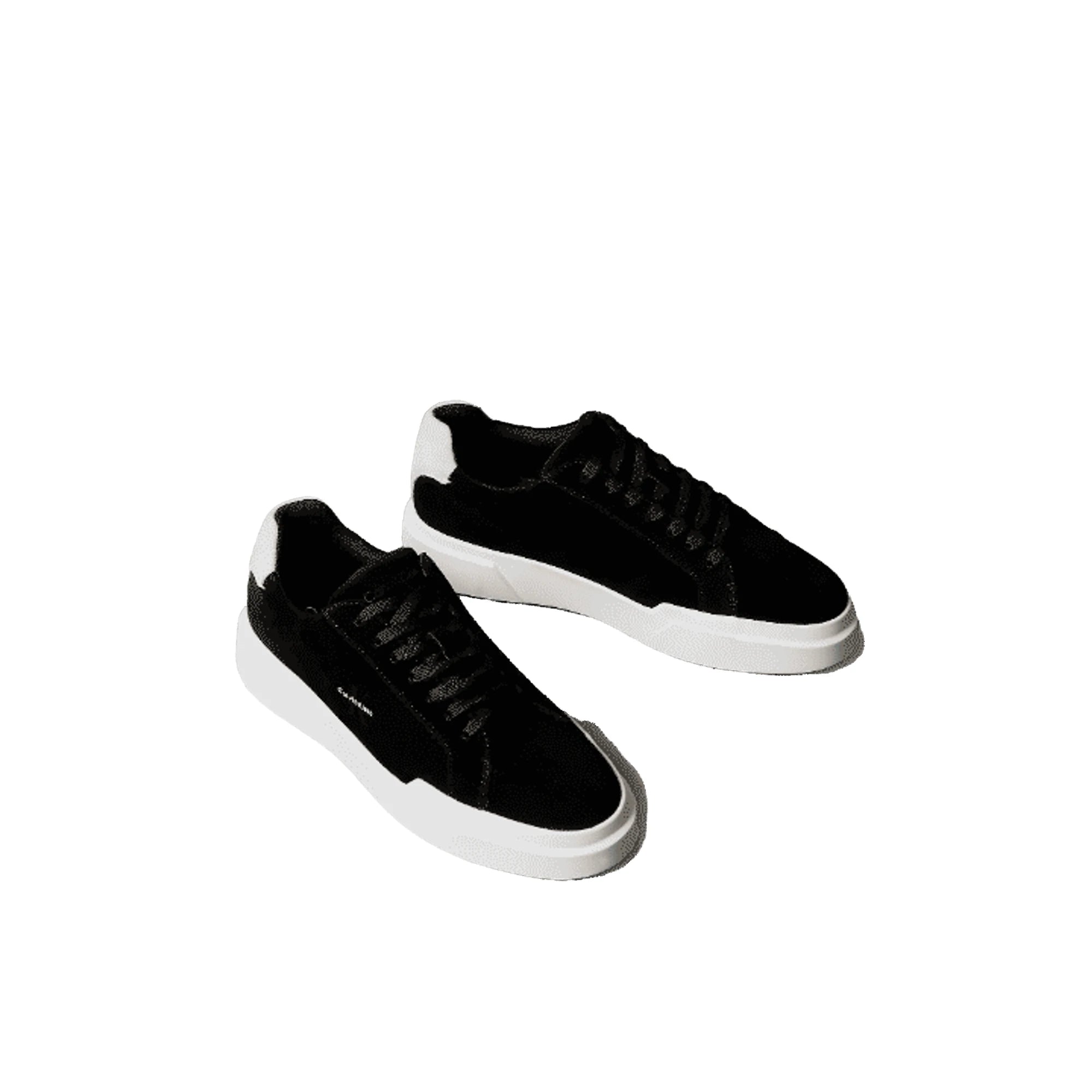 CALVIN KLEIN Sneakers Camoscio CK Avenue