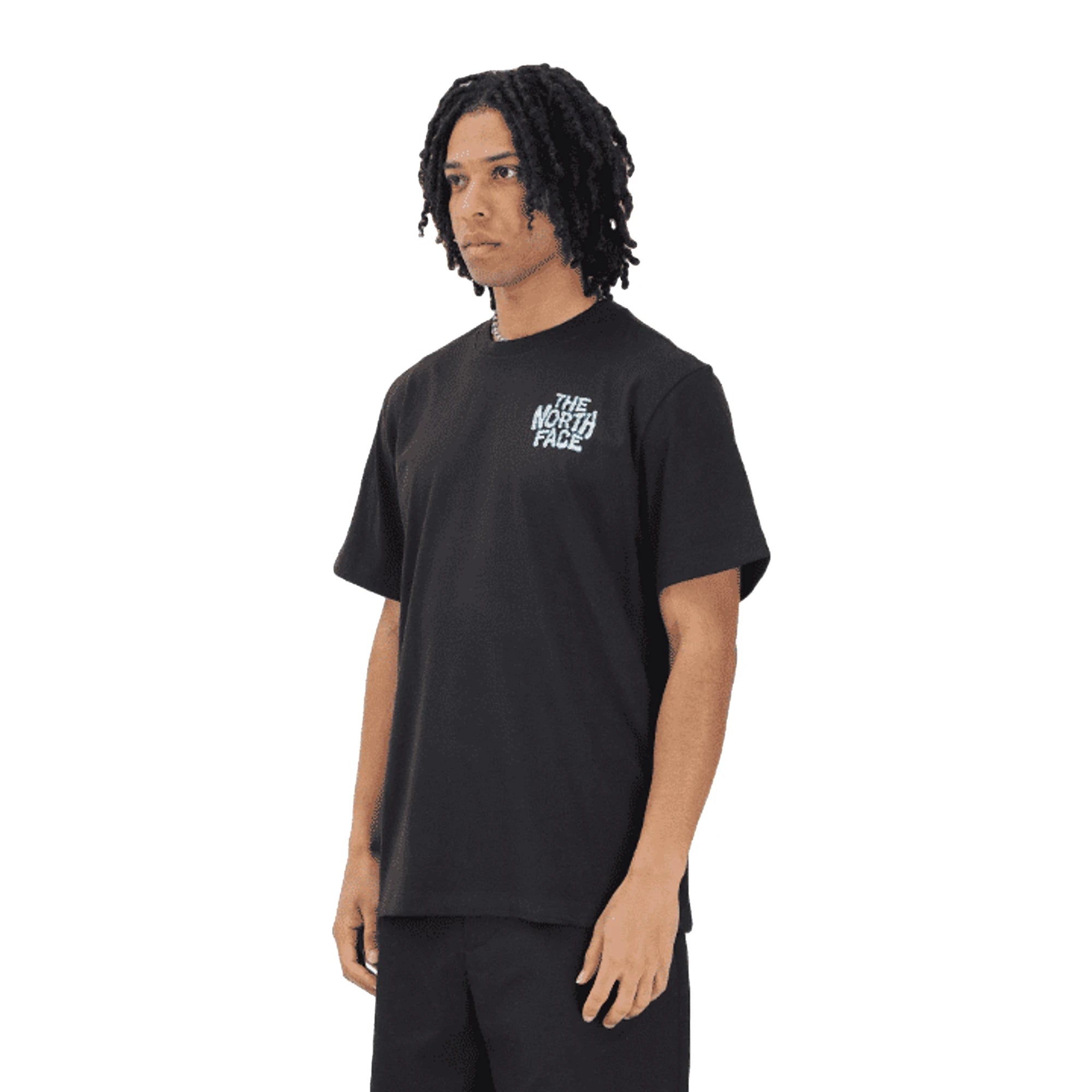 THE NORTH FACE T-shirt a manica corta Drip Logo Relaxed nera da uomo