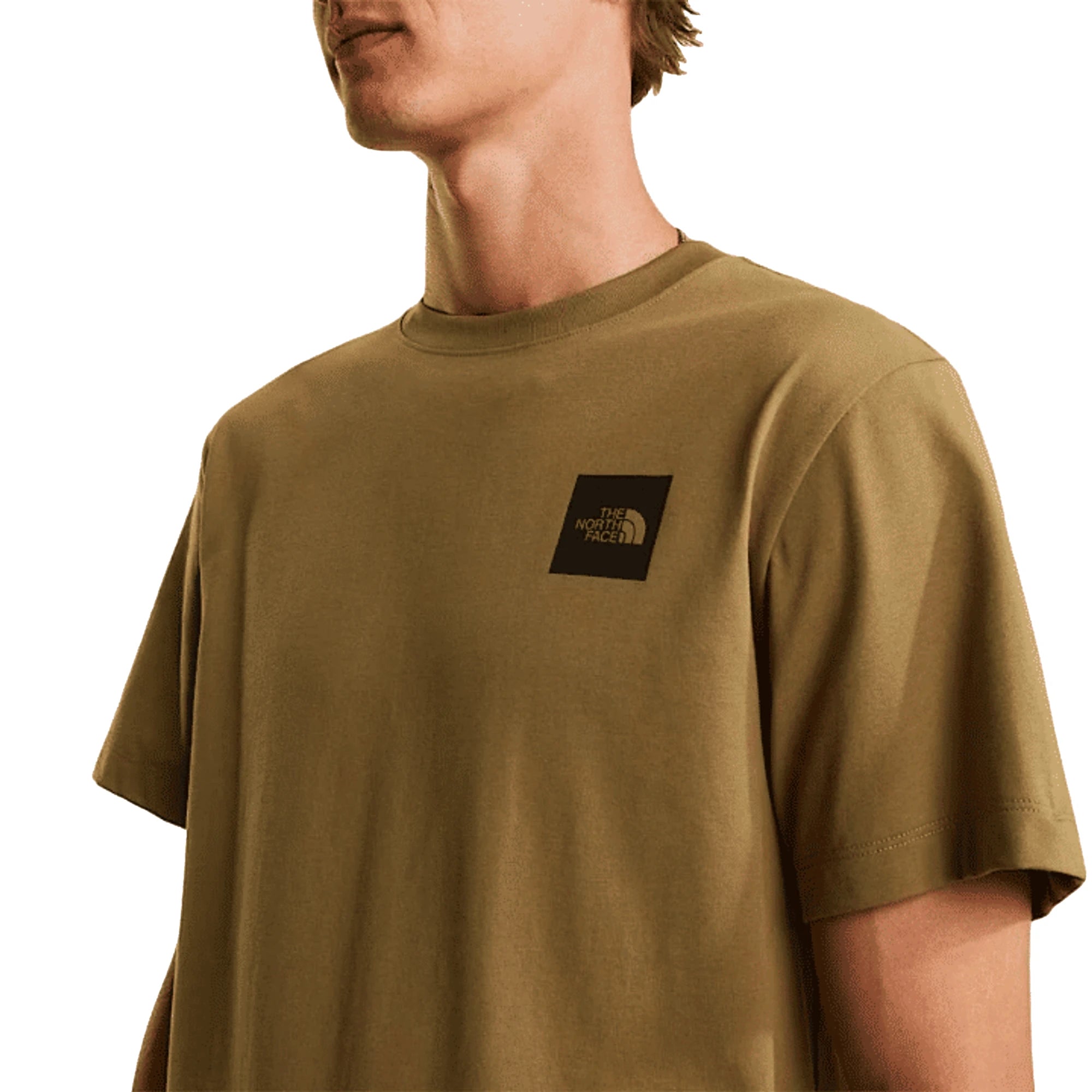 The North Face T-shirt Evolution Box Half Dome Regular Cedar Uomo