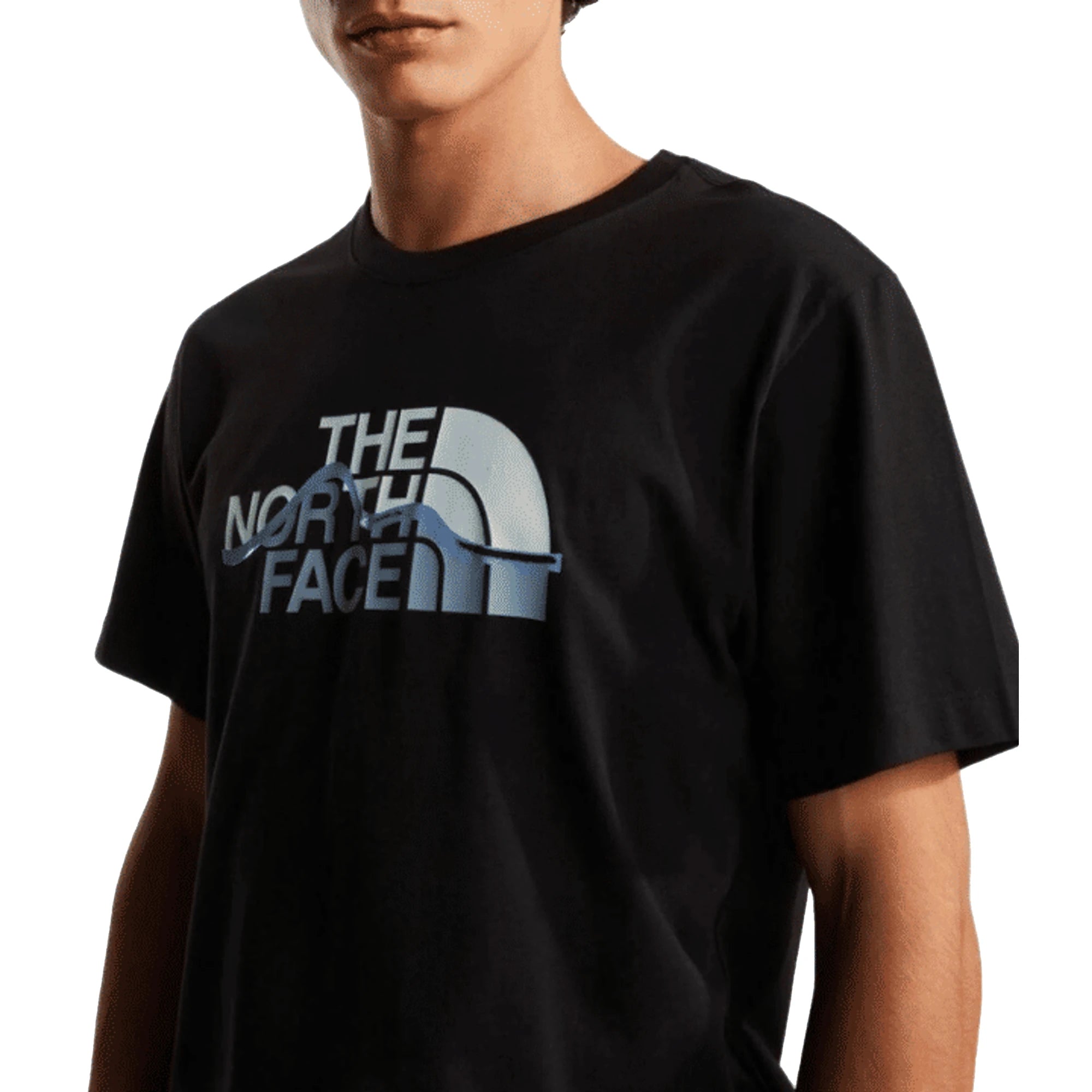 The North Face T-Shirt Uomo NF0A8GUX Tnf Black