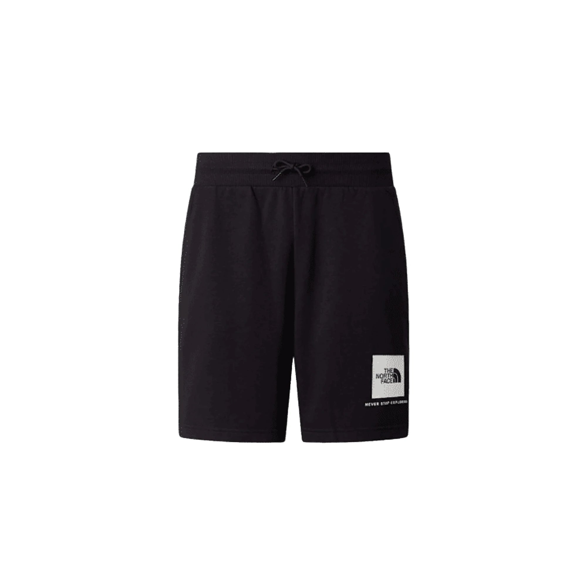 Shorts THE NORTH FACE M BOX NSE LIGHT REGULAR