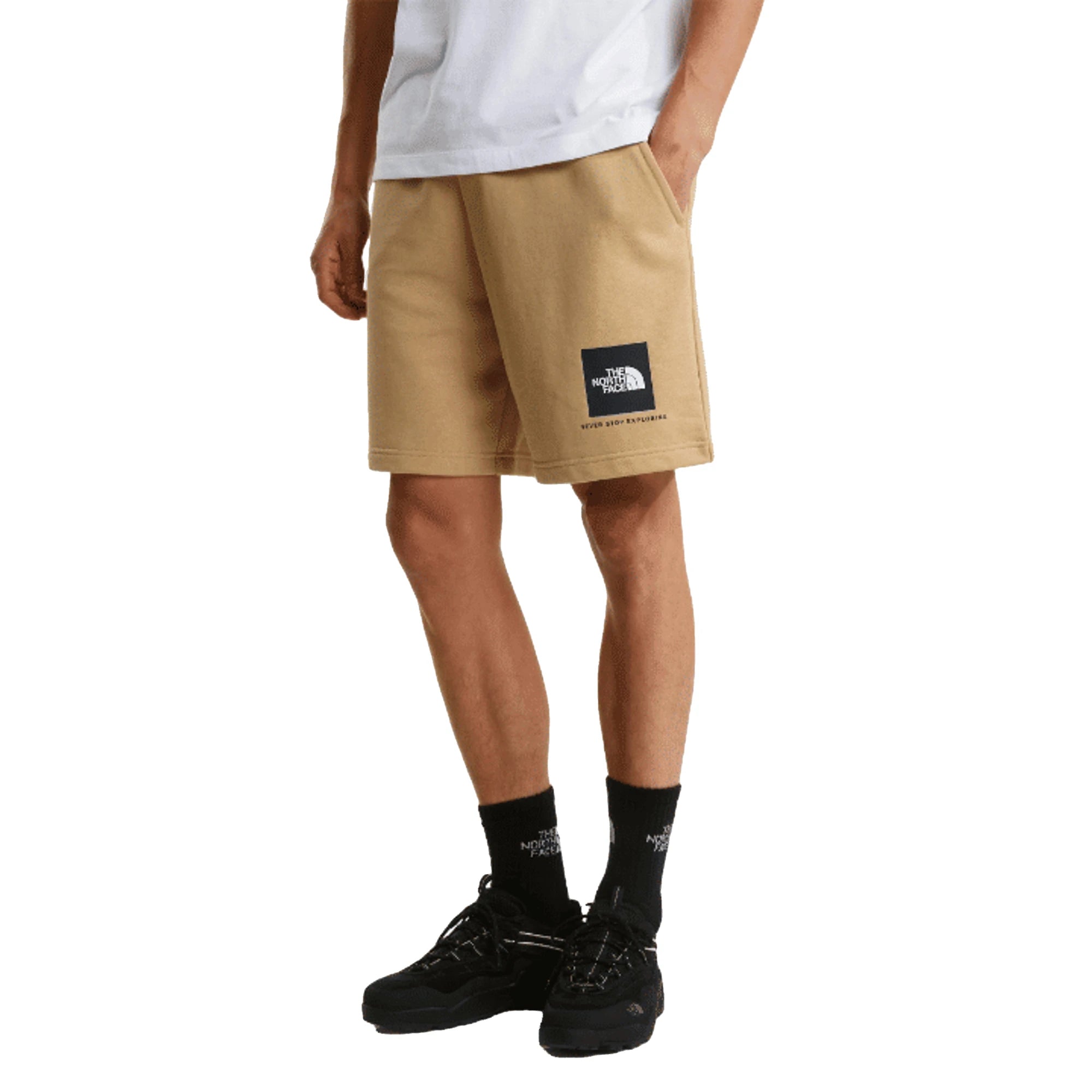 Shorts The North Face Shorts Box Nse Light Regular NF0A8GQ8LK51 Khaki Stone Uomo