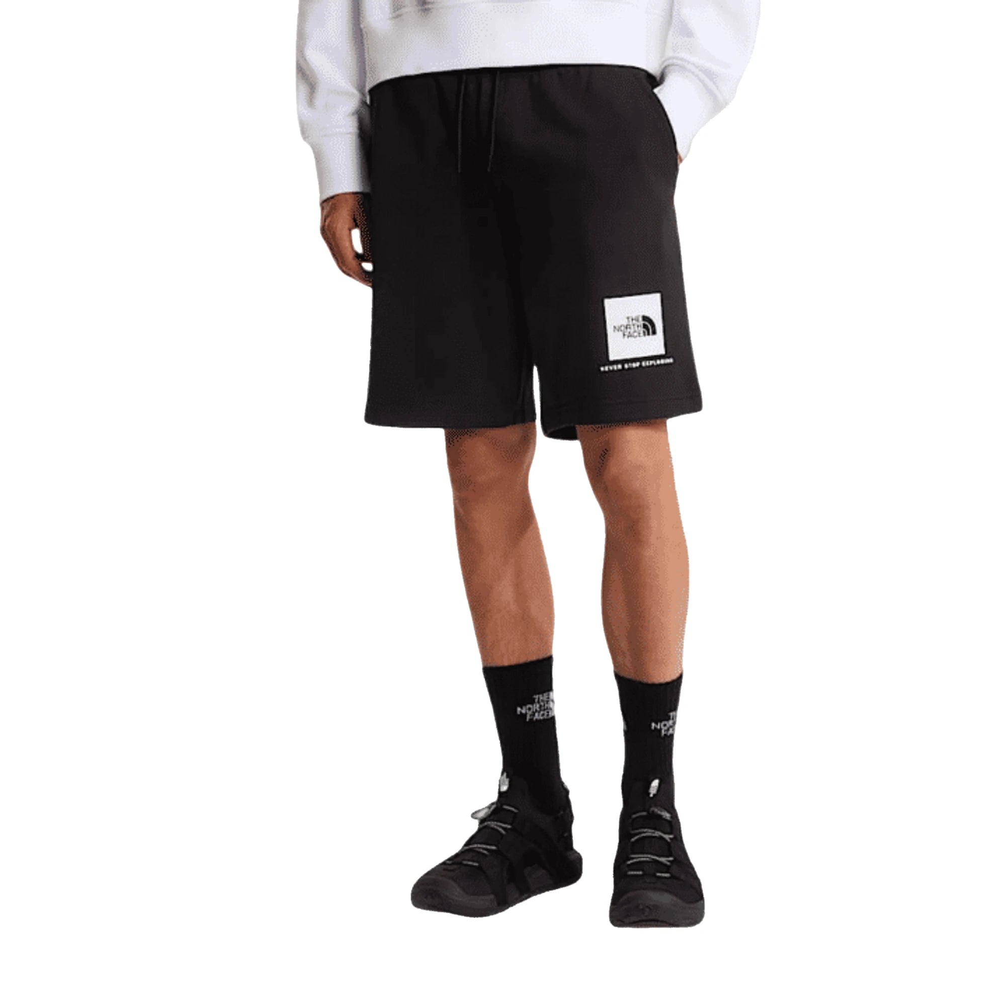 Shorts THE NORTH FACE M BOX NSE LIGHT REGULAR