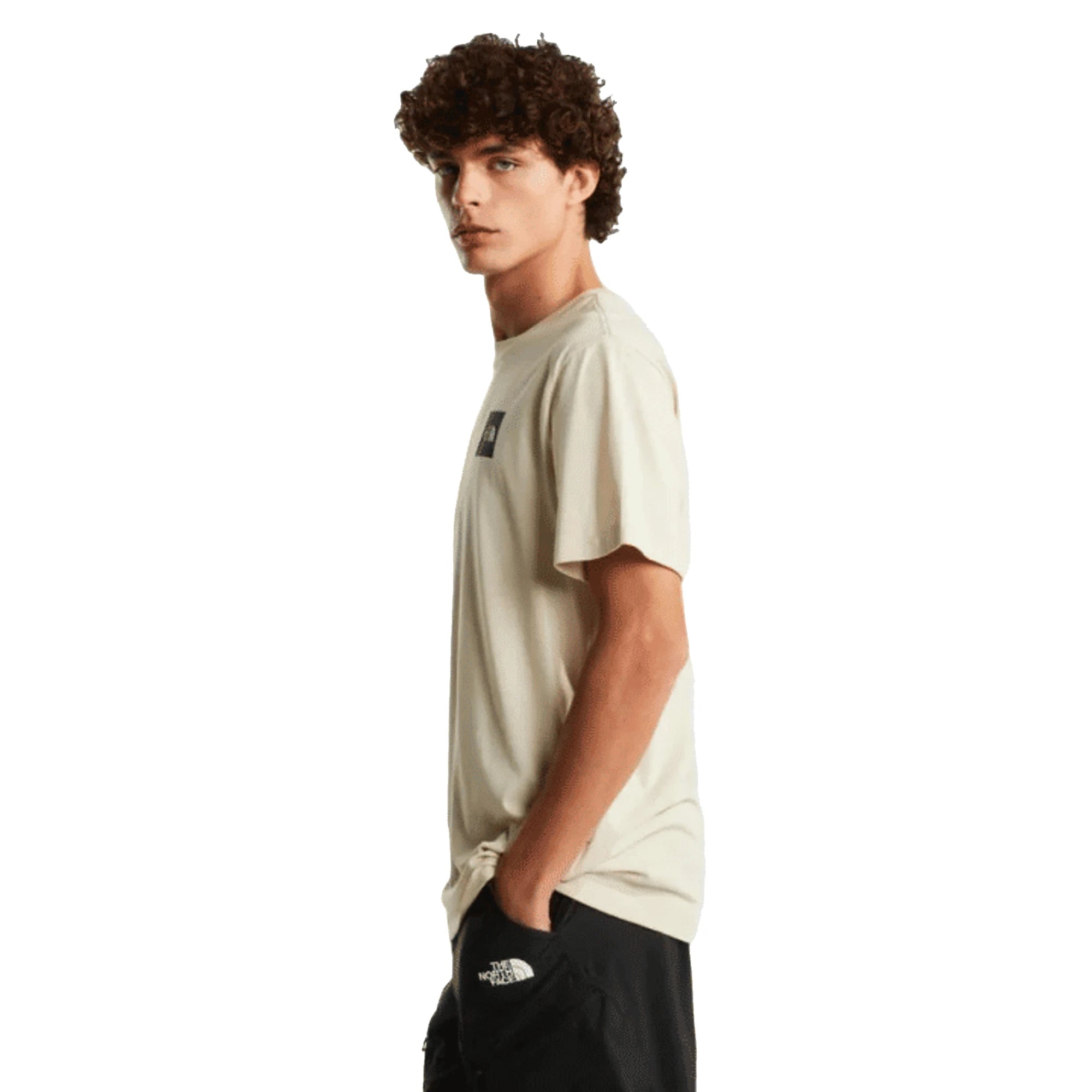 The North Face T-shirt Evolution Box Half Dome Regular Desert Stone Uomo