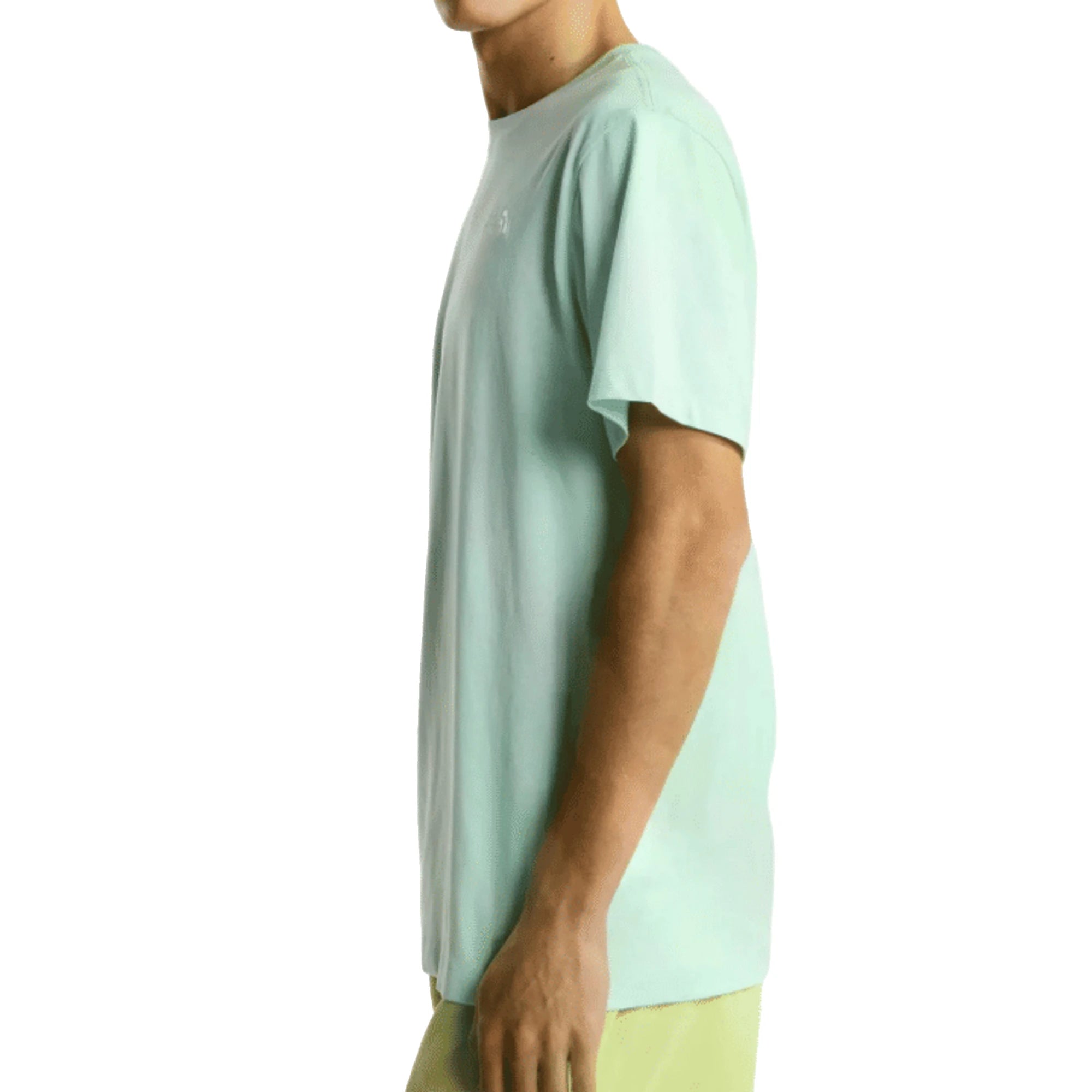 THE NORTH FACE T-Shirt Evolution Simple Dome Regular Uomo