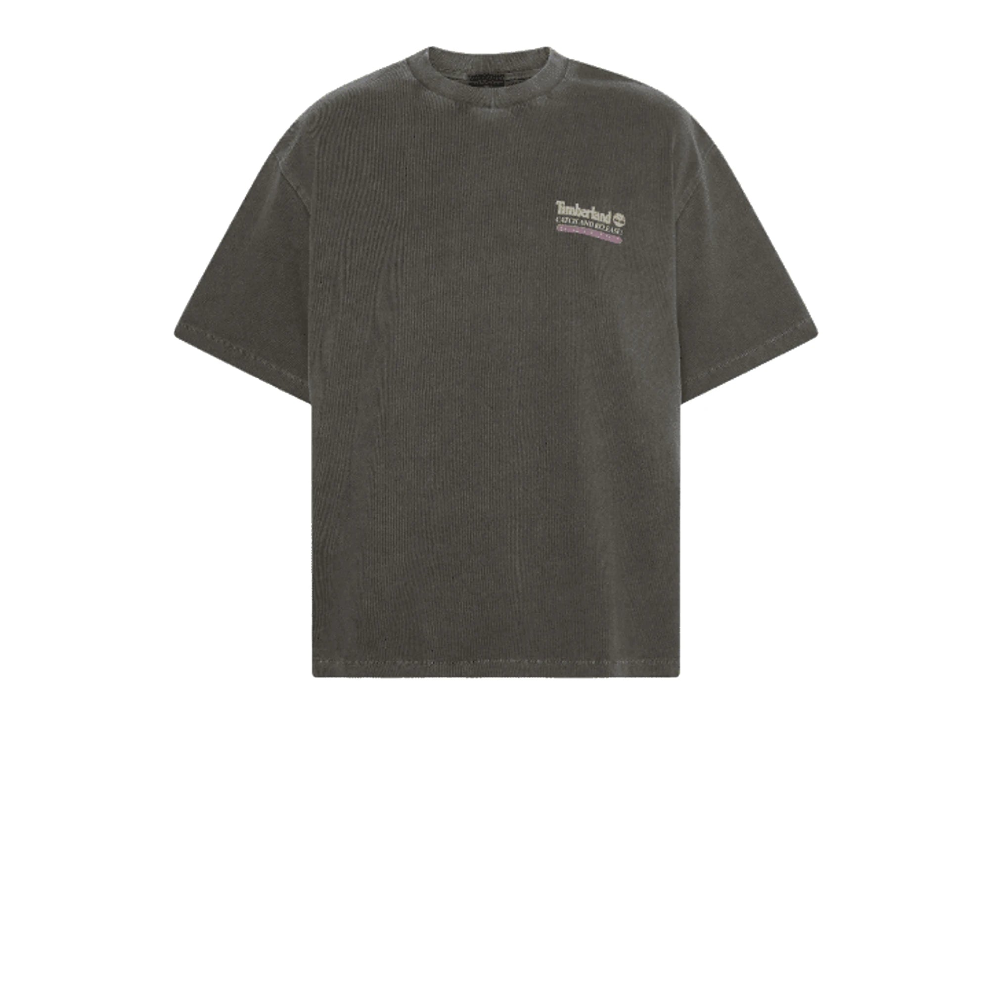 Timberland T-Shirt Timberland Fly Fishing Graphic Tee - Grigio