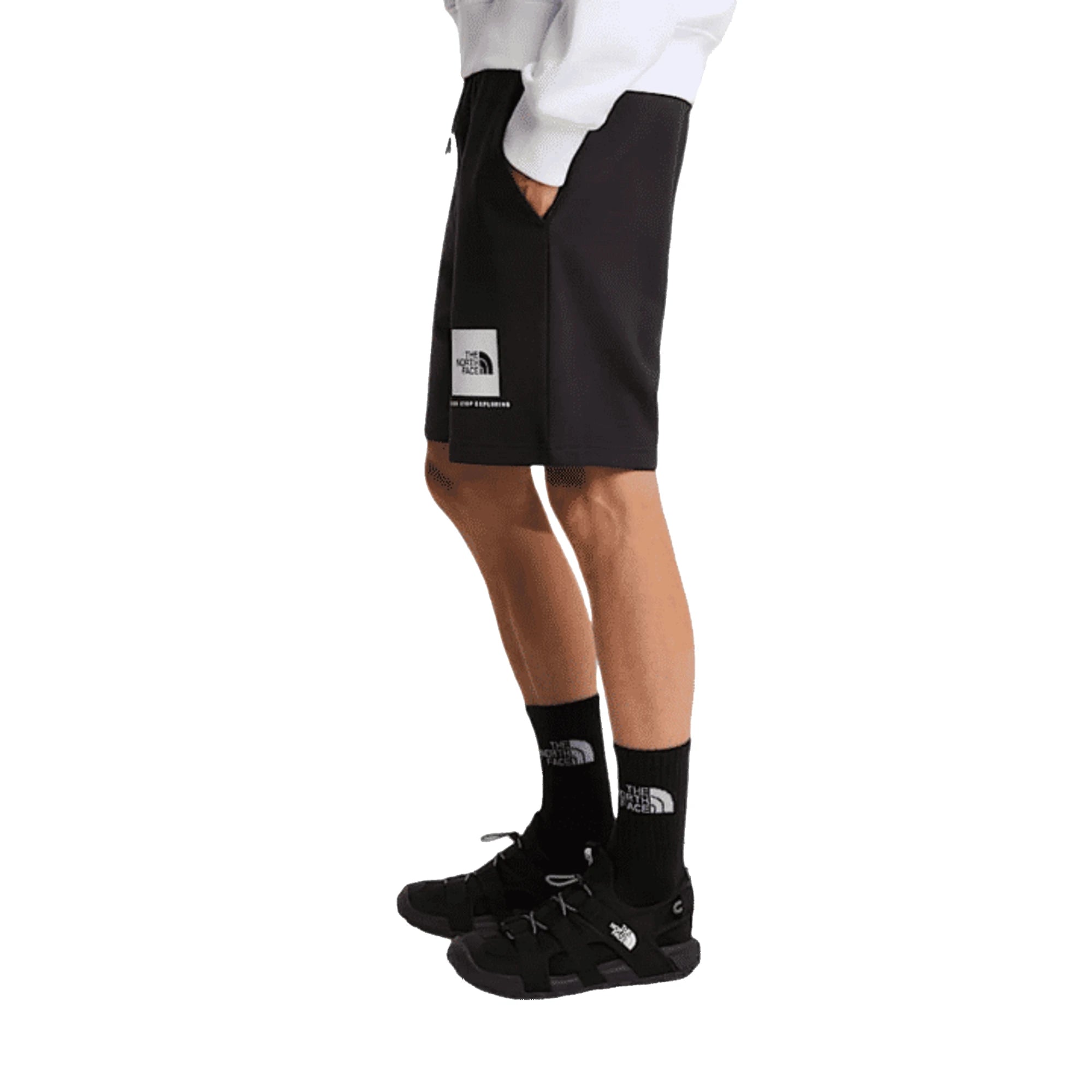 Shorts THE NORTH FACE M BOX NSE LIGHT REGULAR