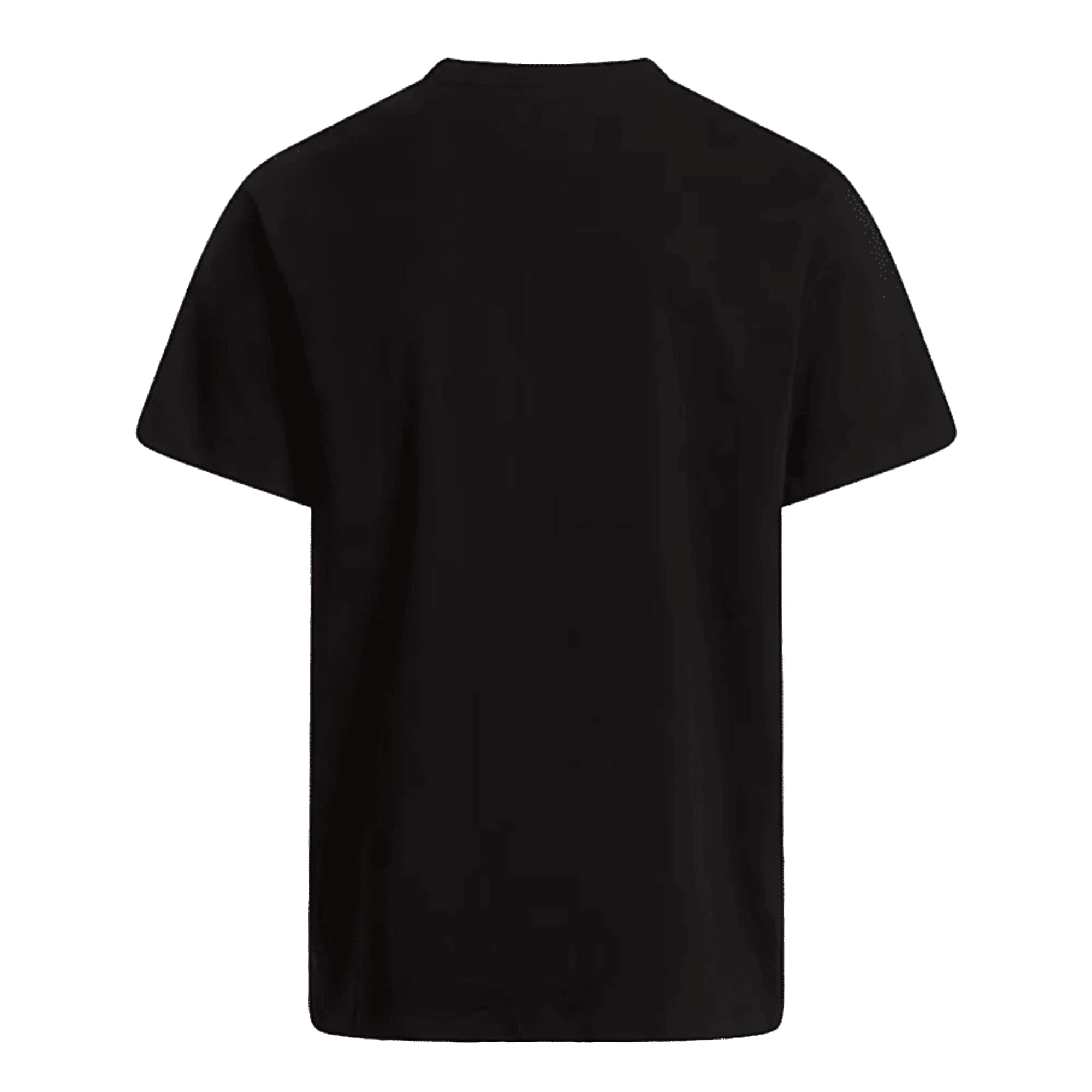THE NORTH FACE T-shirt Evolution Simple Dome Regular Uomo