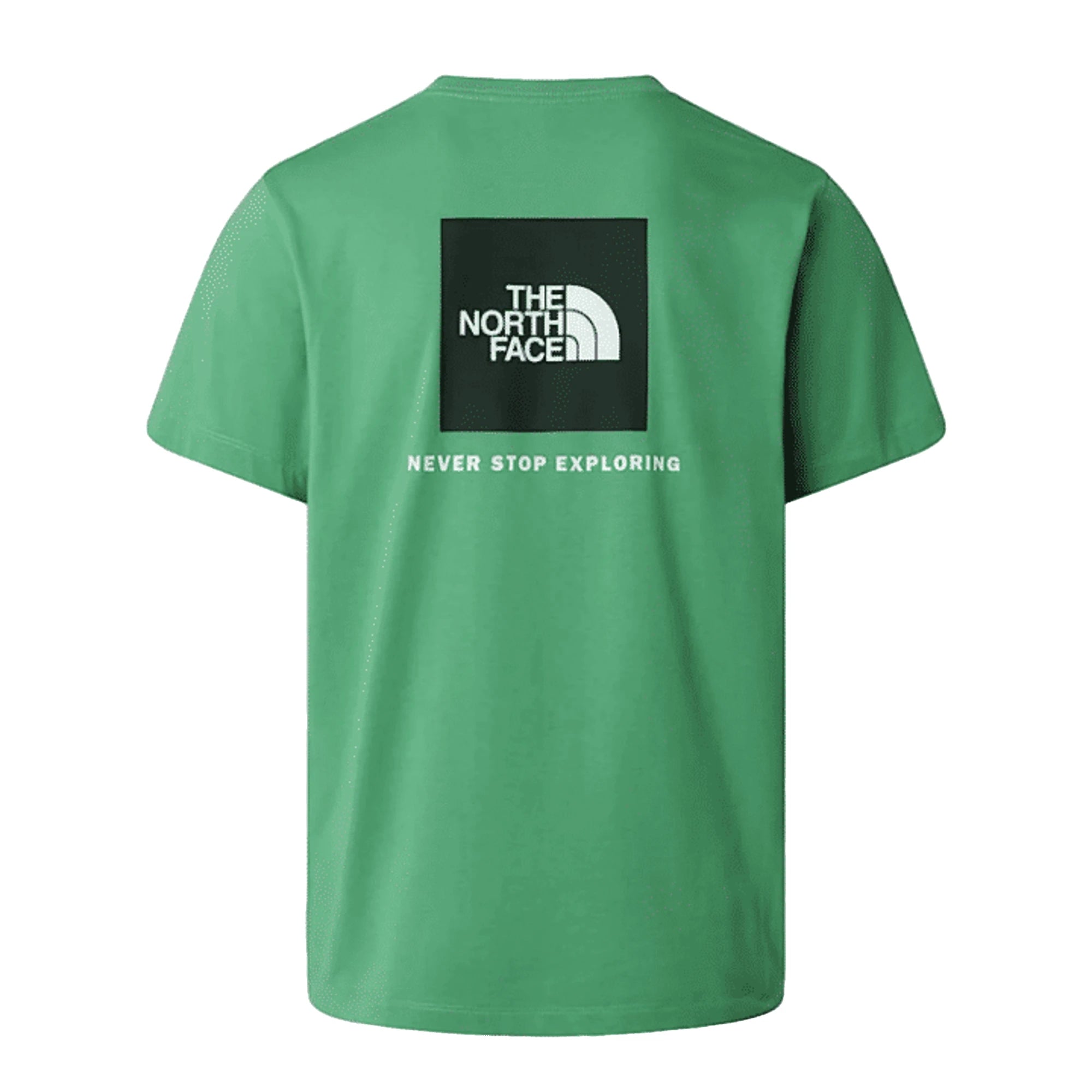 THE NORTH FACE T-Shirt Uomo Evolution Box Verde Regular Fit