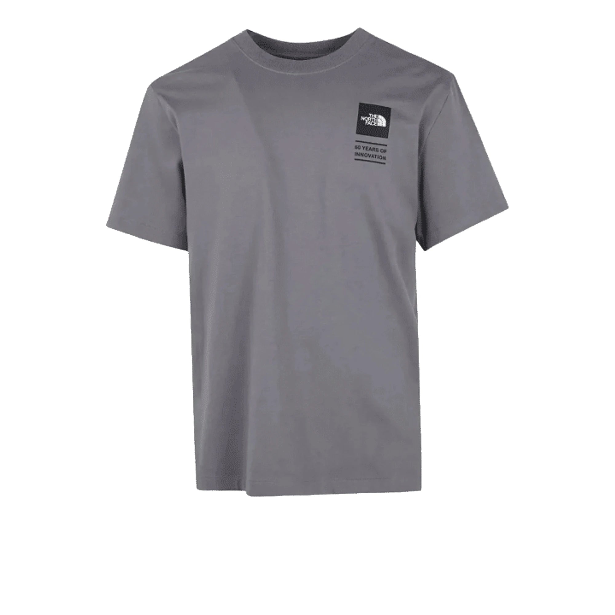 THE NORTH FACE T-Shirt M Bcd Celebration Relaxed Grigia Uomo