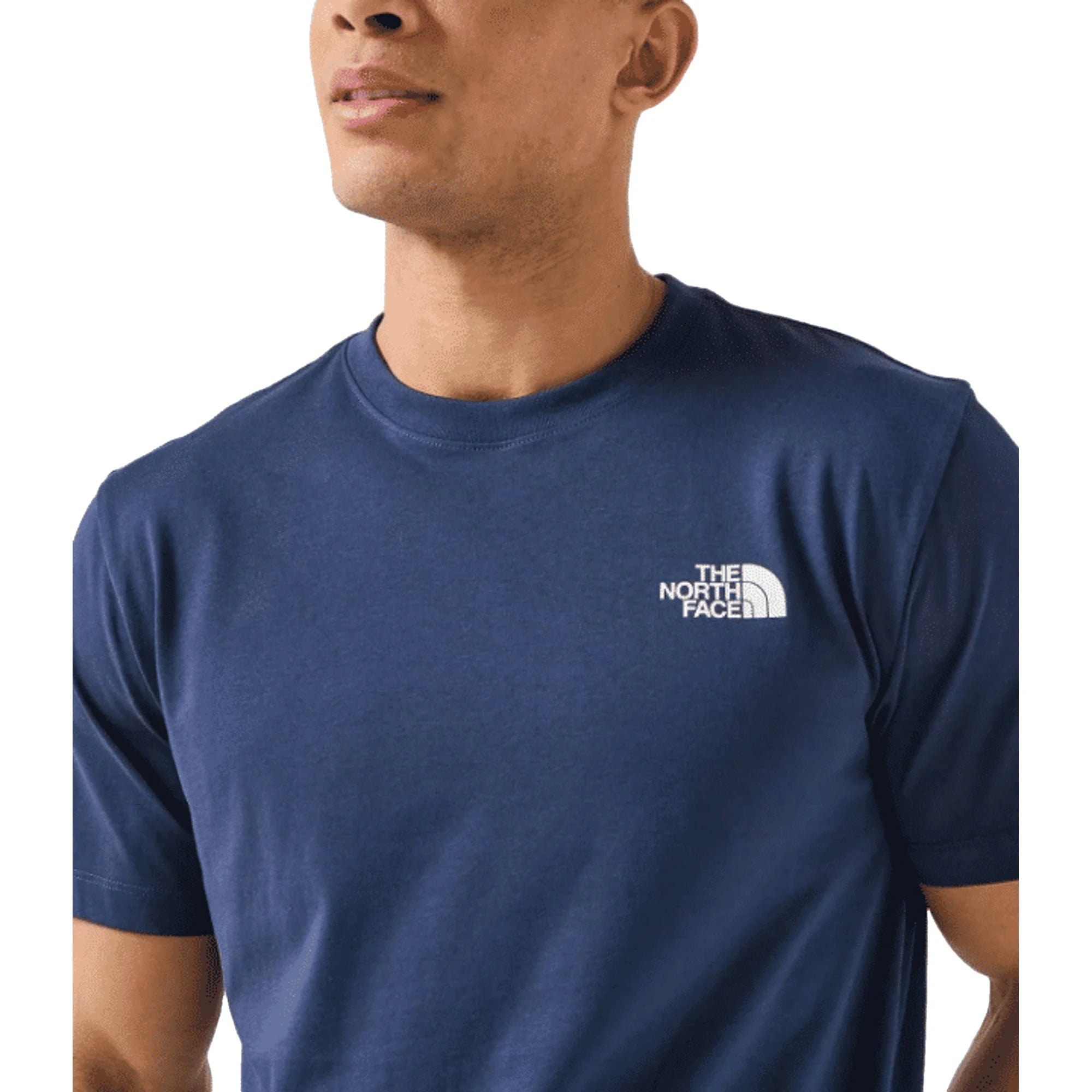 THE NORTH FACE T-shirt Uomo M EVOLUTION BOX NSE Blu Cotone