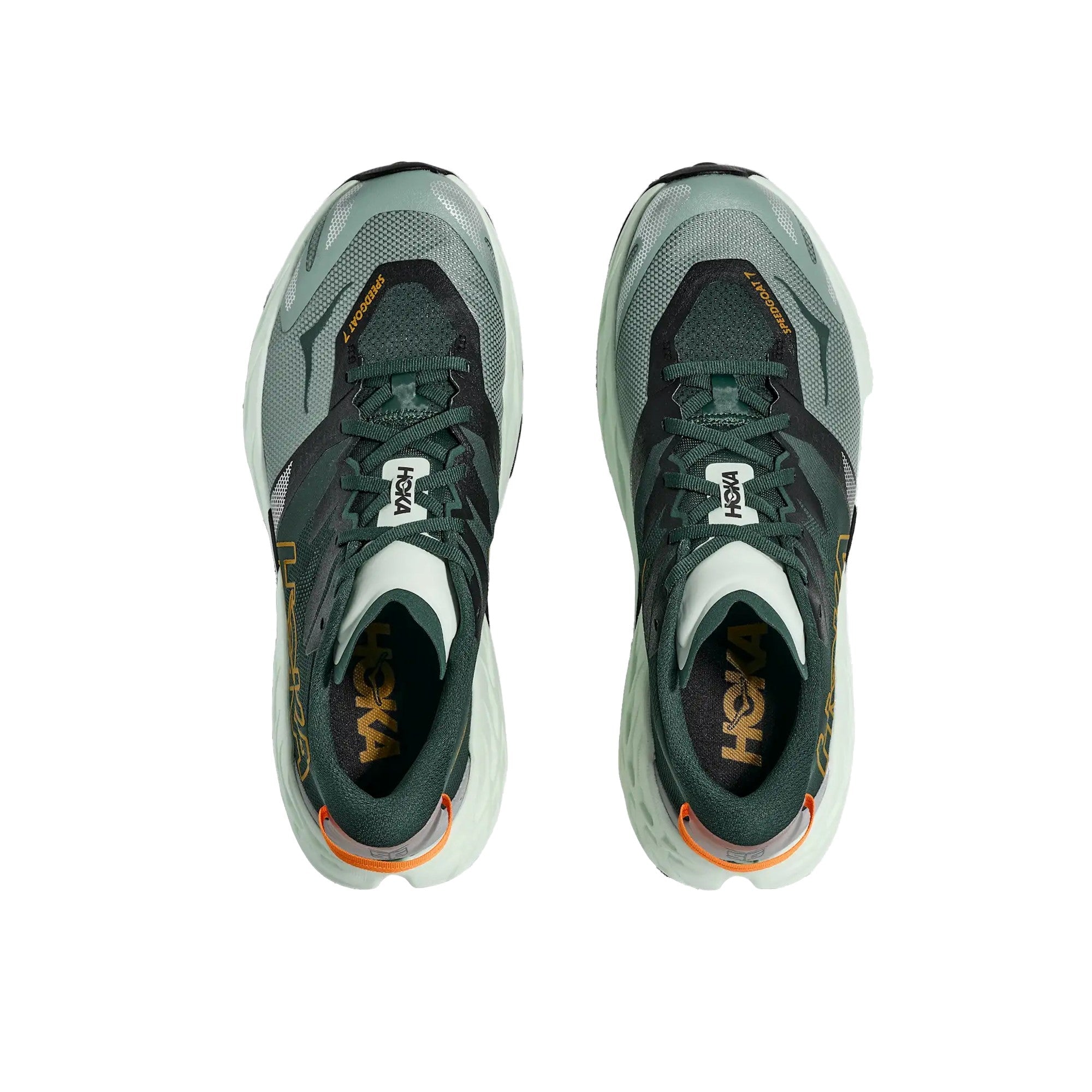 Scarpa Running Uomo Speedgoat tomaia elastica