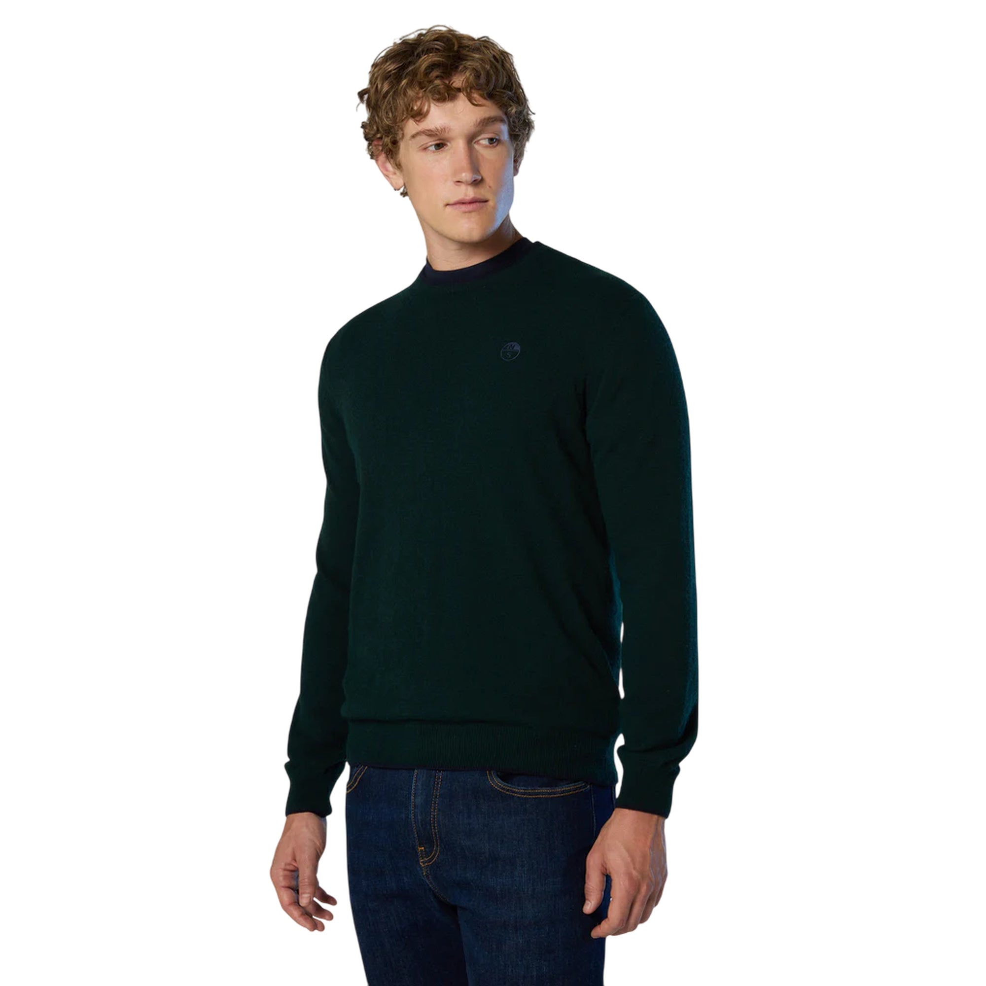 Maglione girocollo Uomo con logo ricamato Verde scuro modello frontale