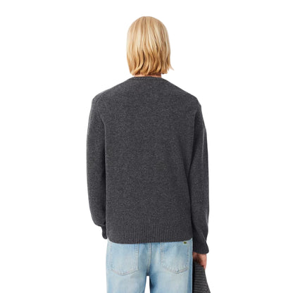 Maglione Uomo a girocollo Grigio