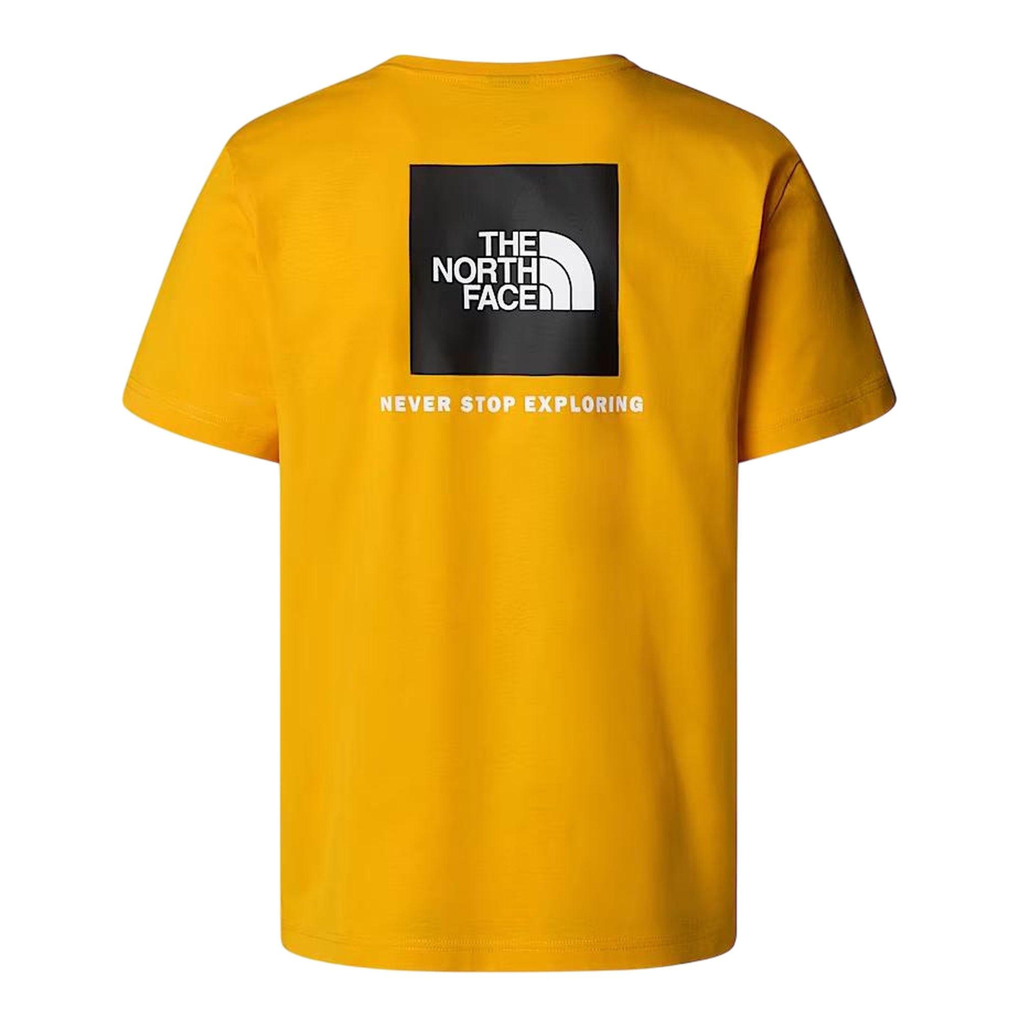 T-shirt Uomo NSE Box posteriore Giallo retro