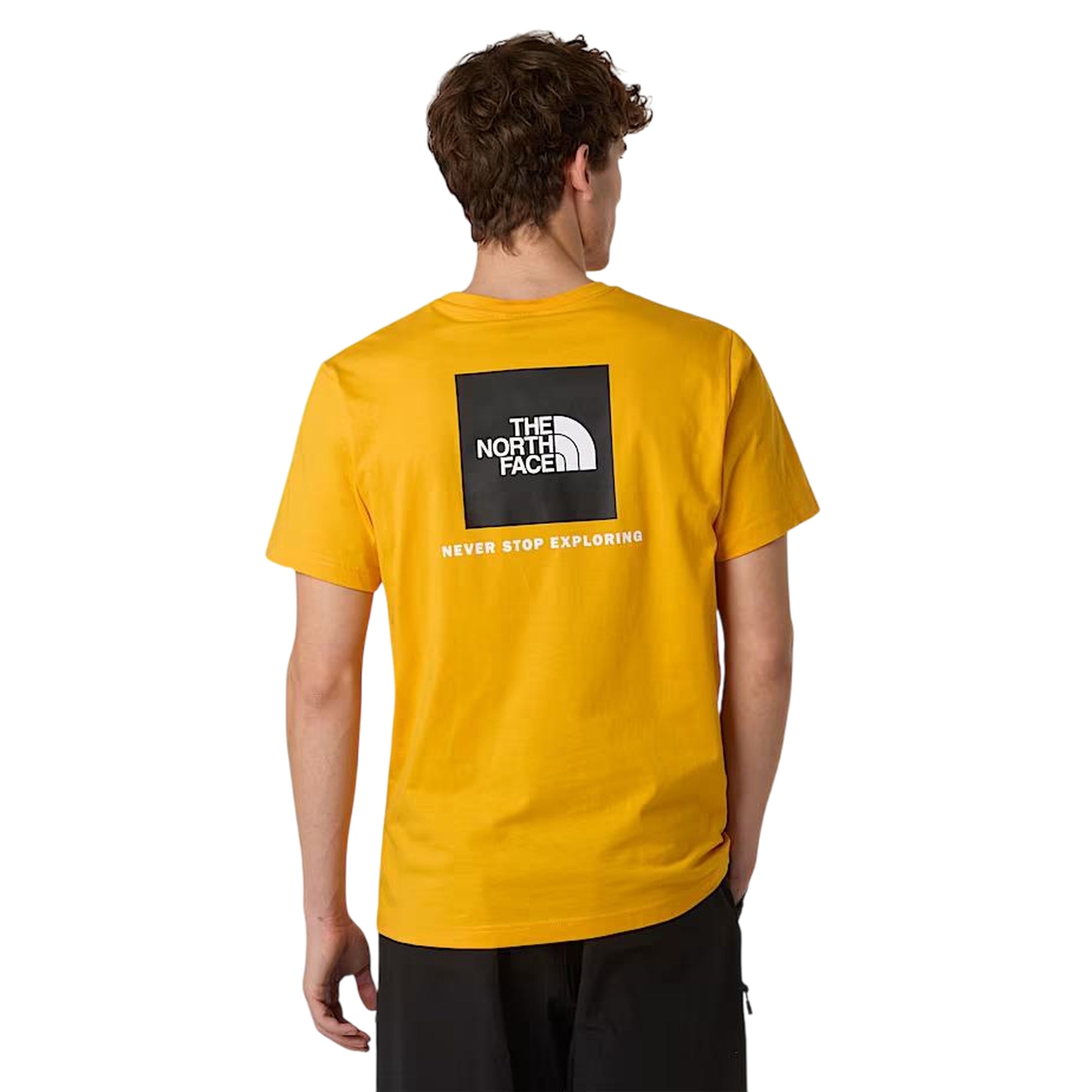 T-shirt Uomo NSE Box posteriore Giallo modello retro