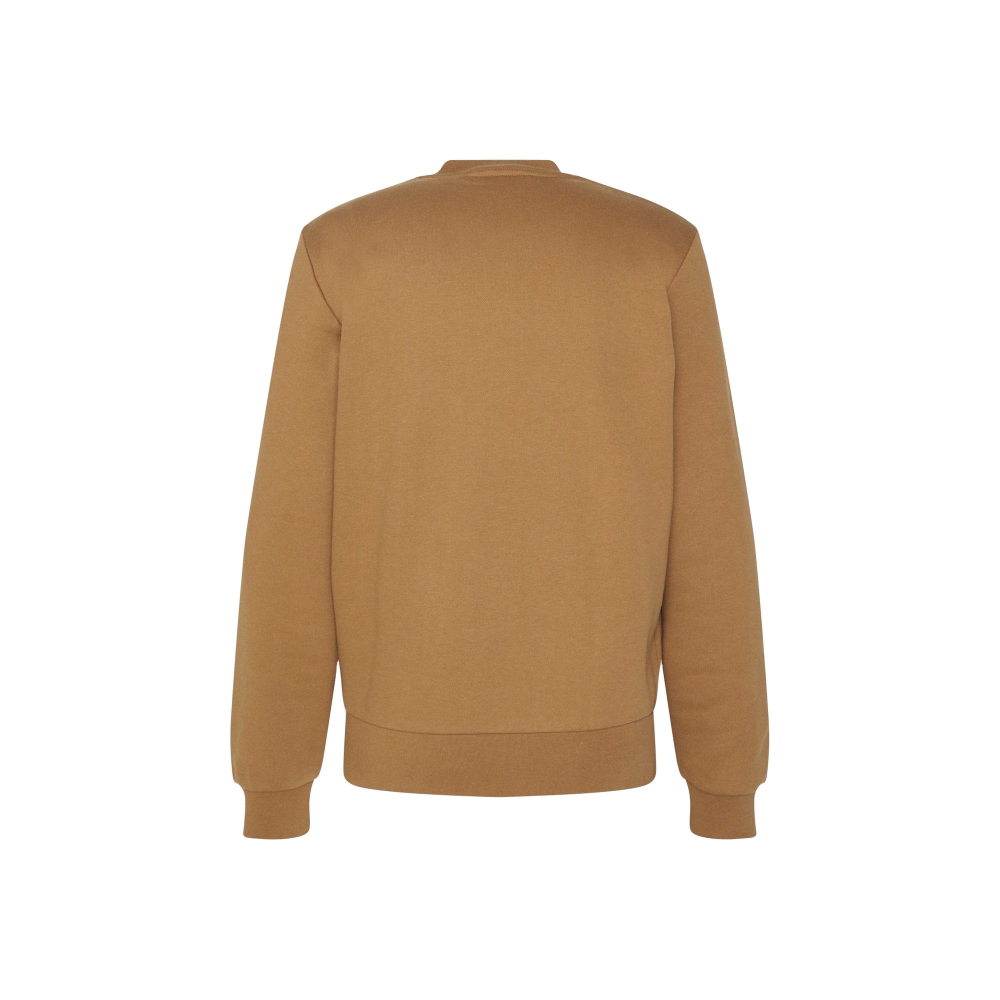 Felpa Uomo Beige tinta unita, in cotone spazzolato