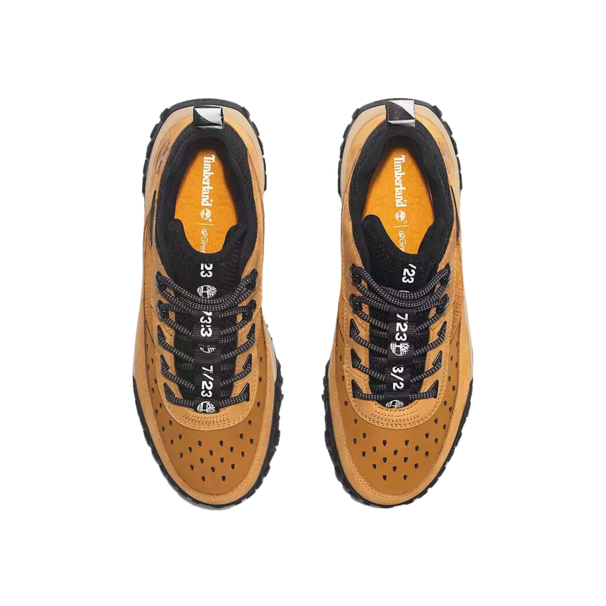 Sneakers Uomo GreenStride Motion 6