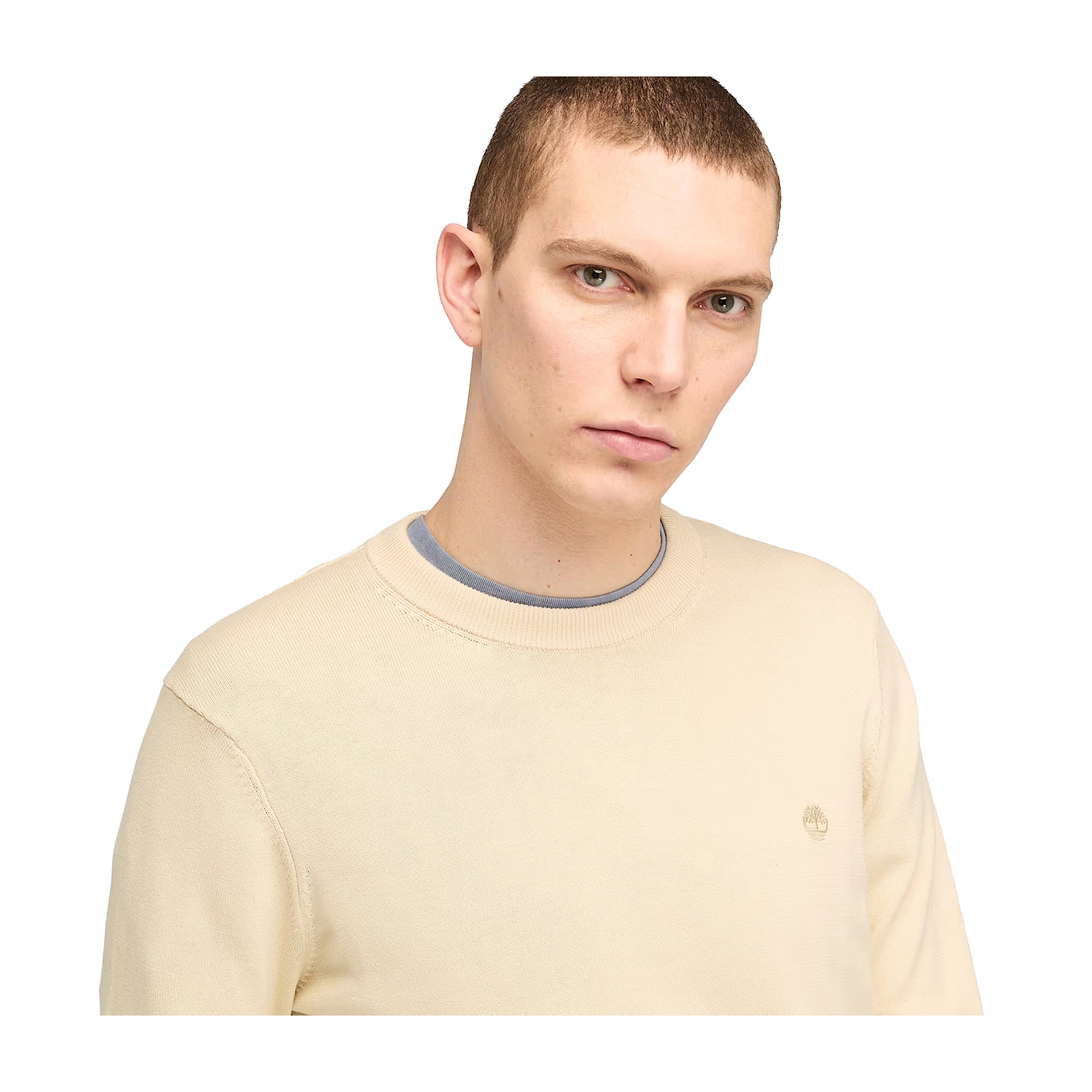 Maglione Uomo Williams River beige modello frontale ravvicinato