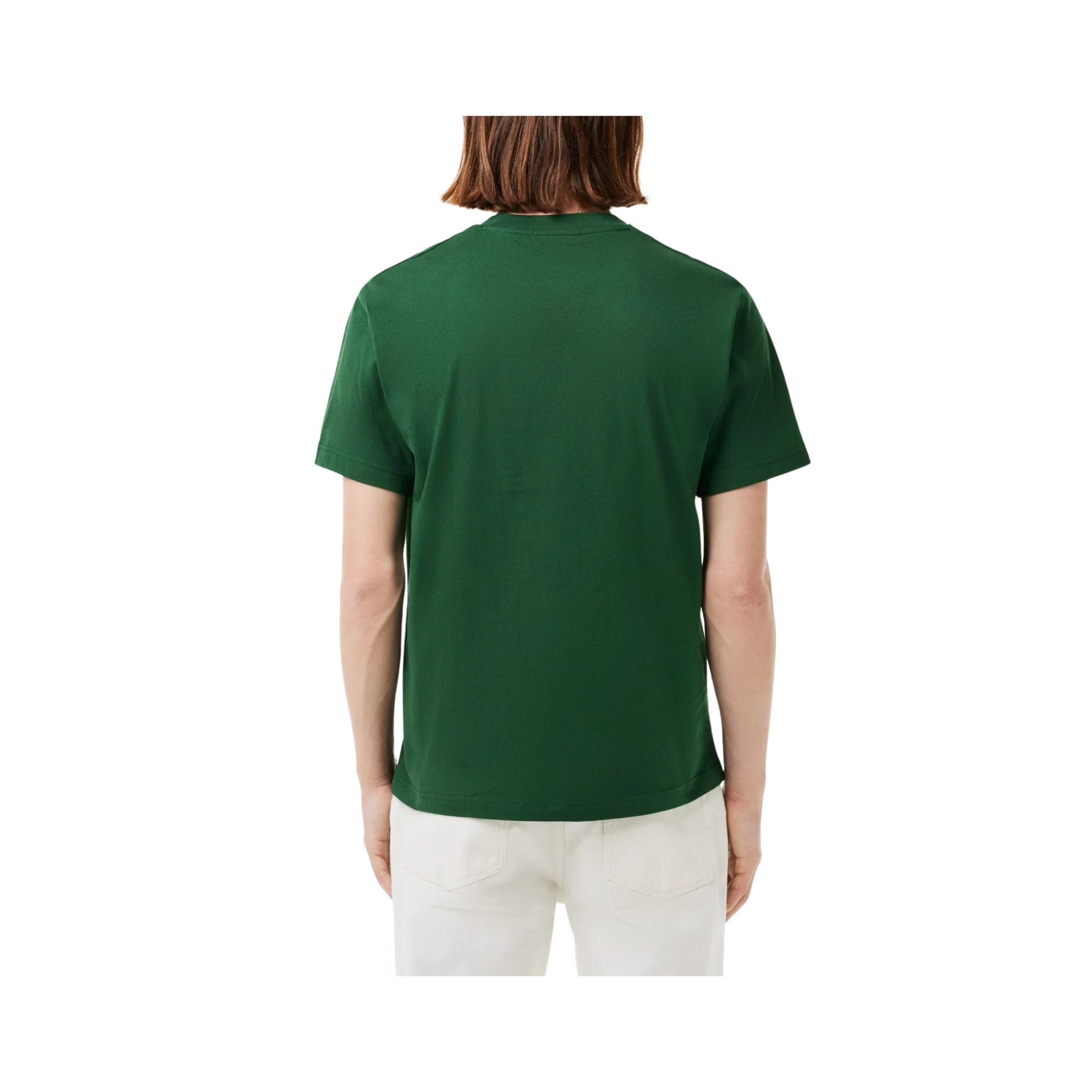 T-shirt Uomo in cotone Verde, con coccodrillo applicato sul petto e girocollo