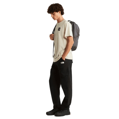 The North Face T-shirt Evolution Box Half Dome Regular Desert Stone Uomo