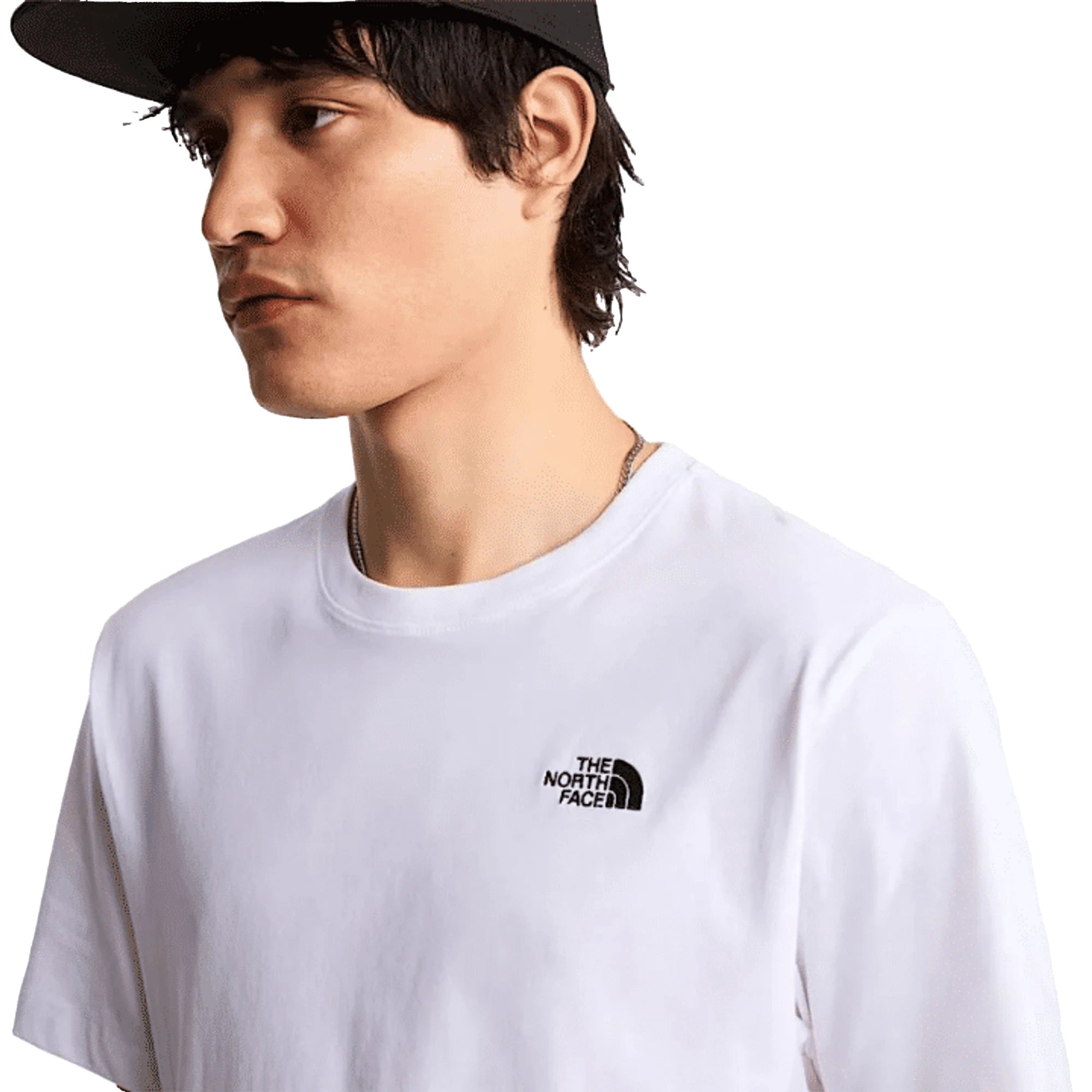 THE NORTH FACE T-shirt Evolution Simple Dome Uomo