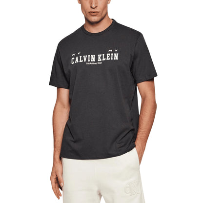 CALVIN KLEIN JEANS T-Shirt Uomo Grigia Stampa Cotone LV14RE817G