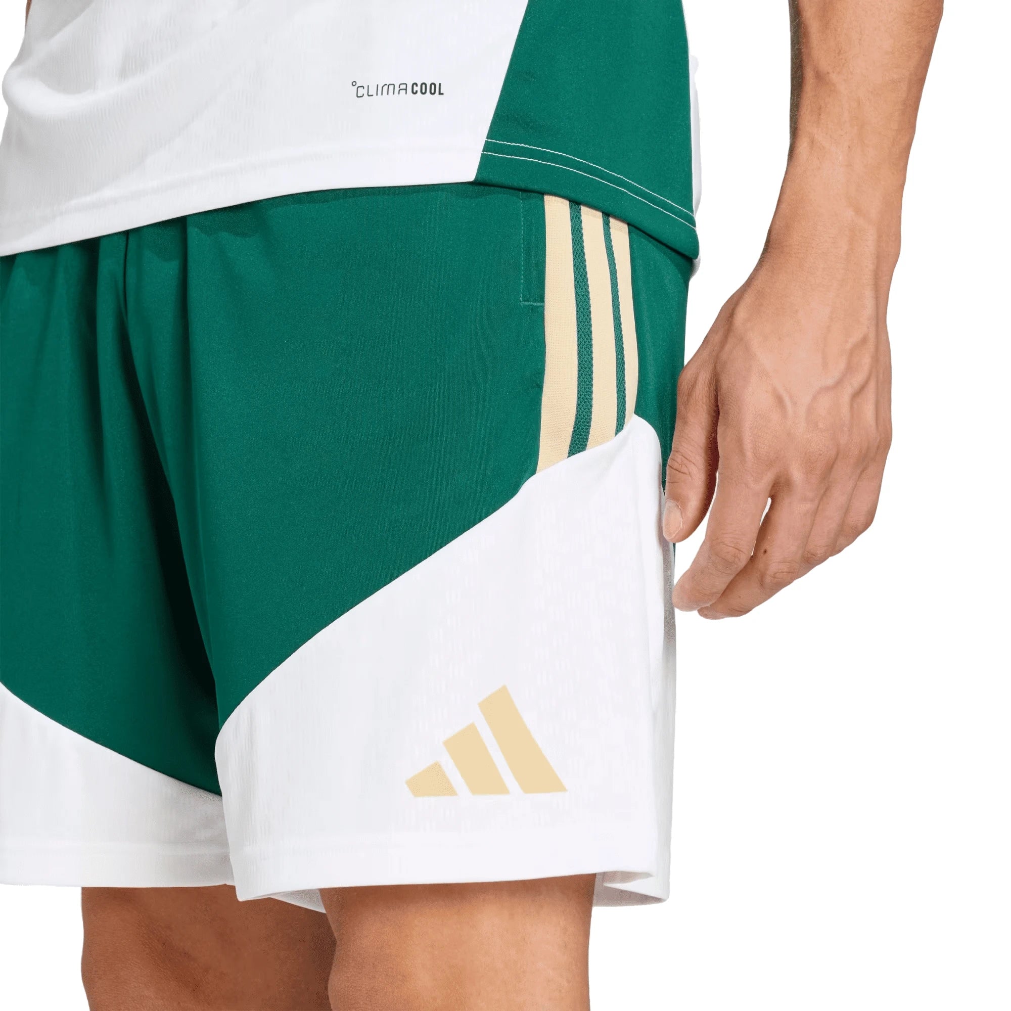 ADIDAS Short Allenamento Italia 26 Tiro Climacool Uomo