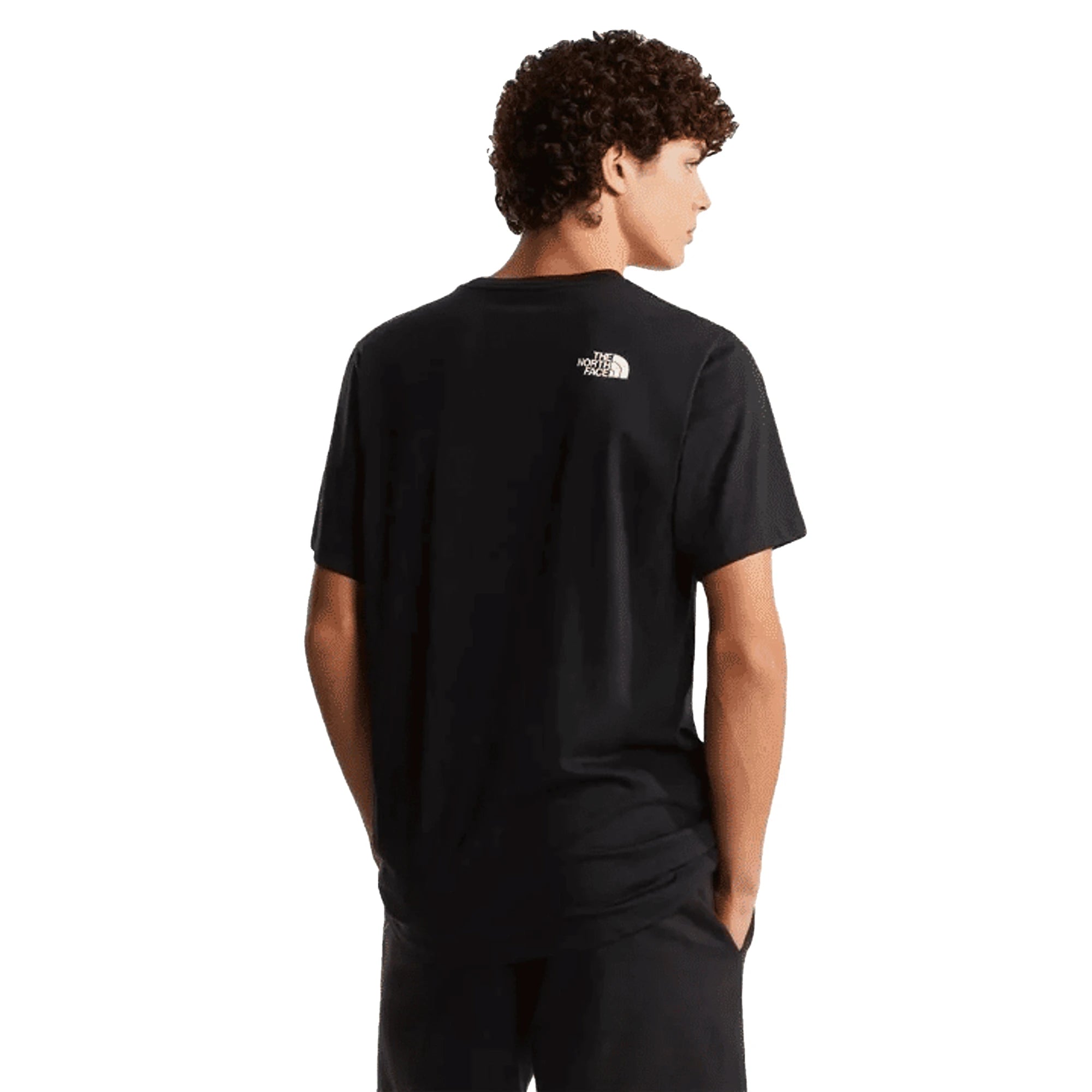 The North Face T-shirt Evolution Box Half Dome Regular Black Uomo
