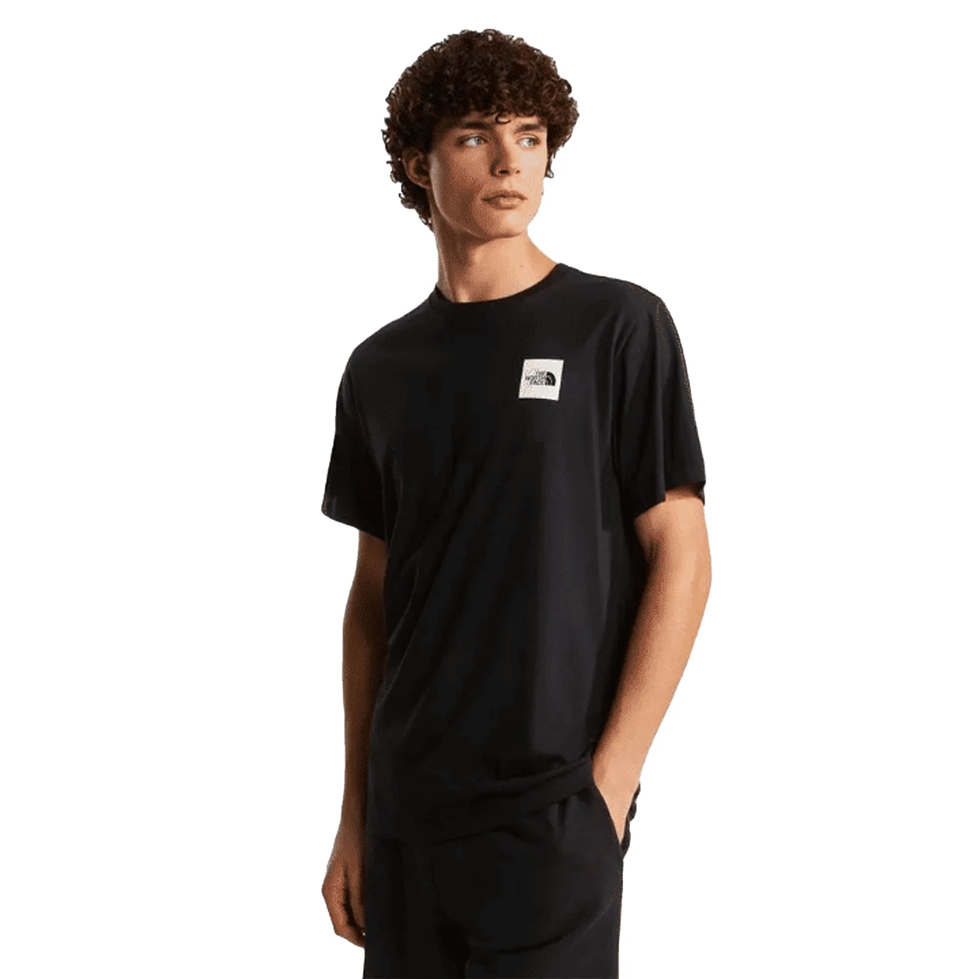The North Face T-shirt Evolution Box Half Dome Regular Black Uomo