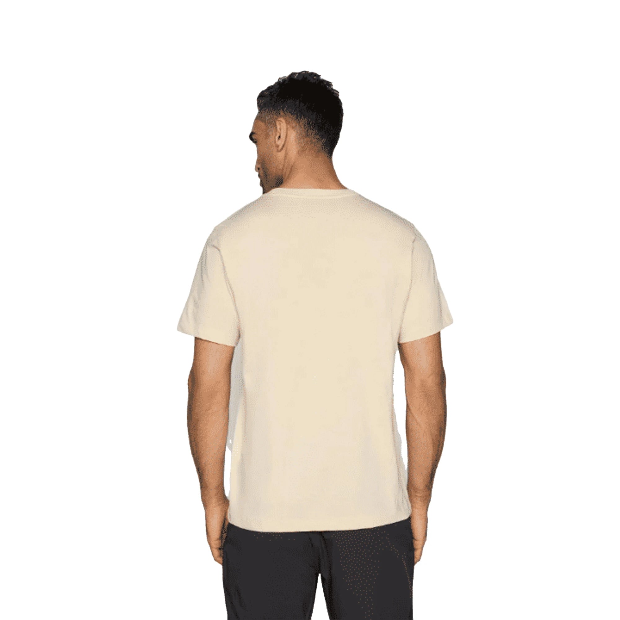 THE NORTH FACE T-shirt Evolution Simple Dome Uomo Desert Stone