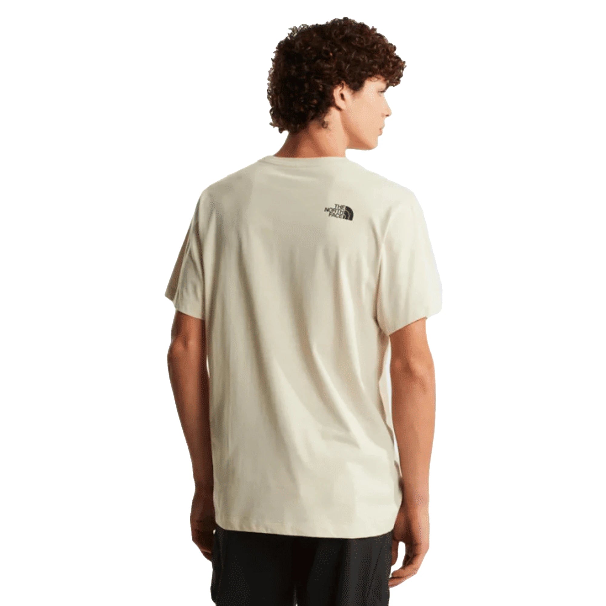 The North Face T-shirt Evolution Box Half Dome Regular Desert Stone Uomo