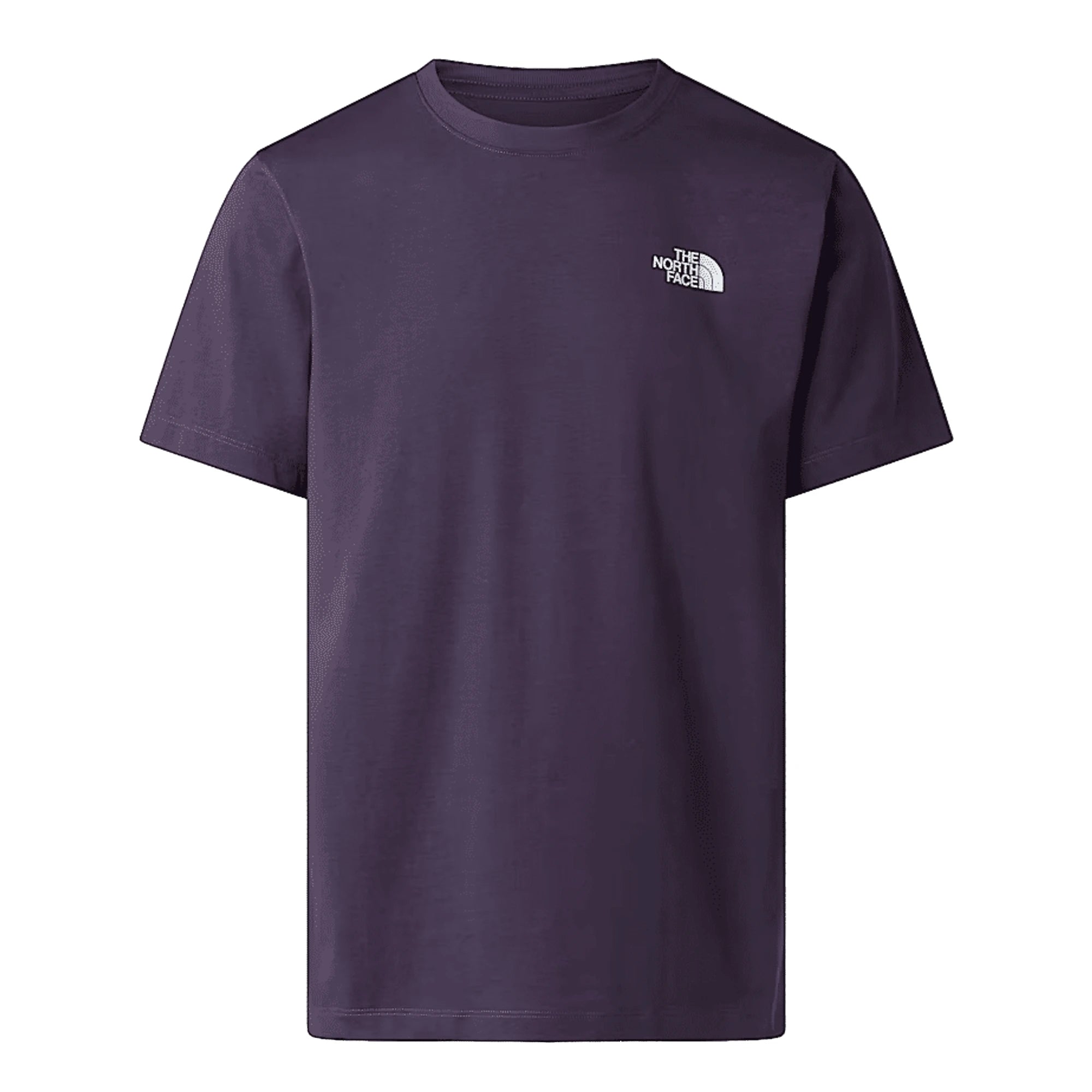 THE NORTH FACE T-shirt Evolution NSE Box Regular Uomo