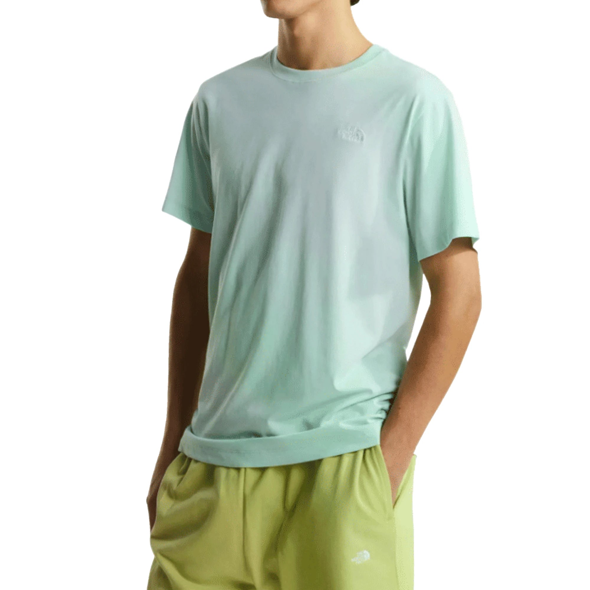THE NORTH FACE T-Shirt Evolution Simple Dome Regular Uomo