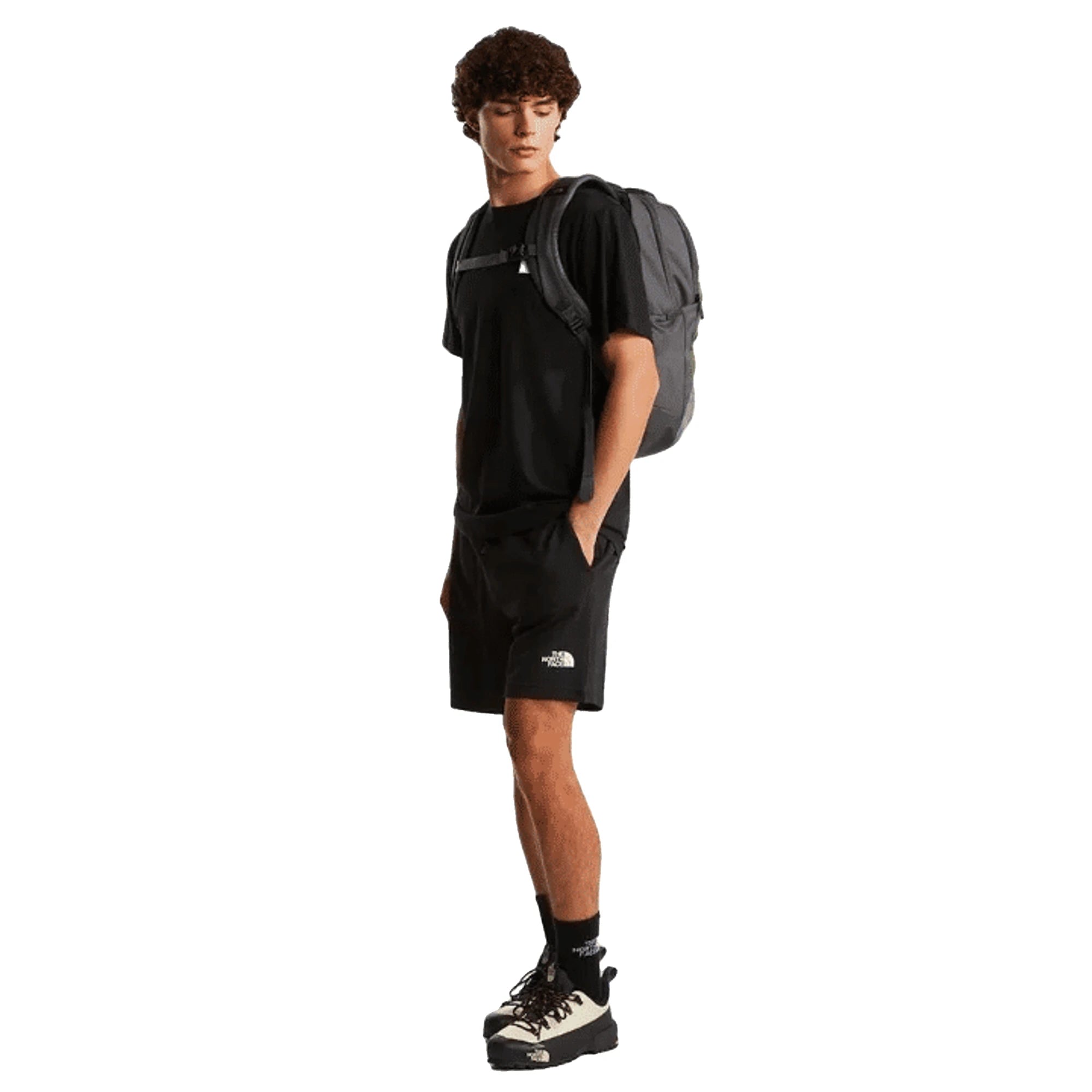The North Face T-shirt Evolution Box Half Dome Regular Black Uomo