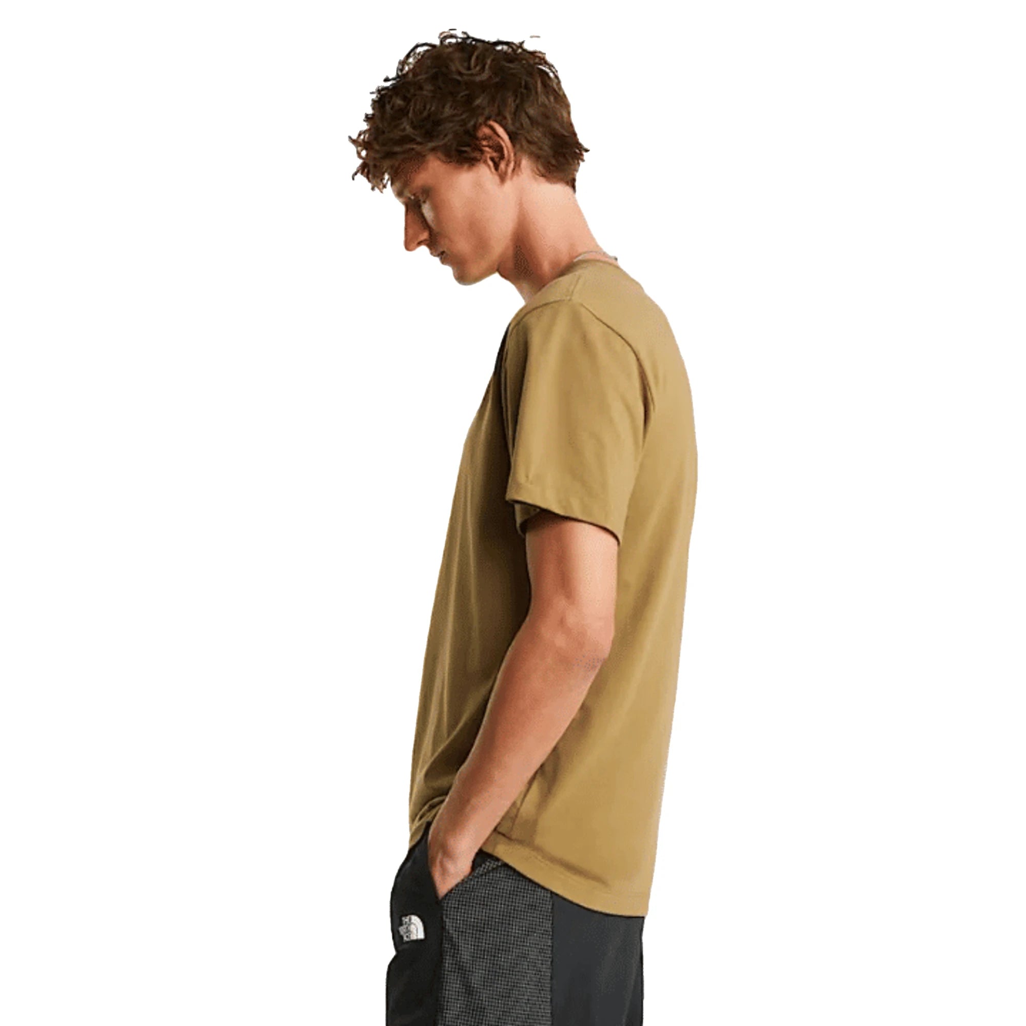 The North Face T-shirt Evolution Box Half Dome Regular Cedar Uomo