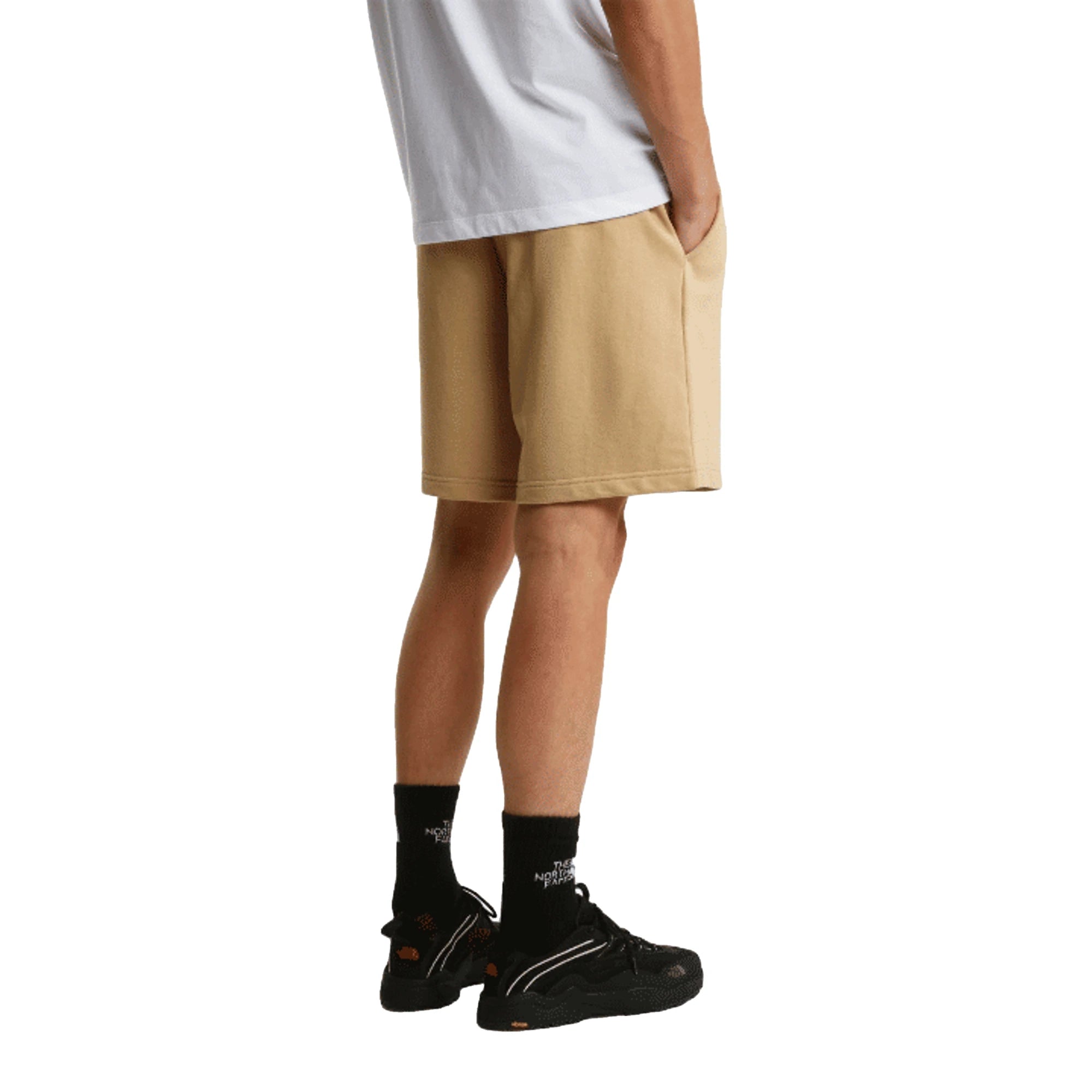 Shorts The North Face Shorts Box Nse Light Regular NF0A8GQ8LK51 Khaki Stone Uomo