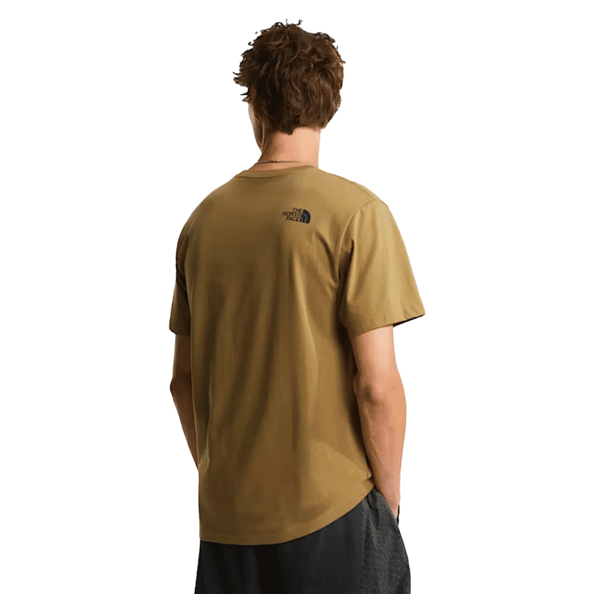 The North Face T-shirt Evolution Box Half Dome Regular Cedar Uomo