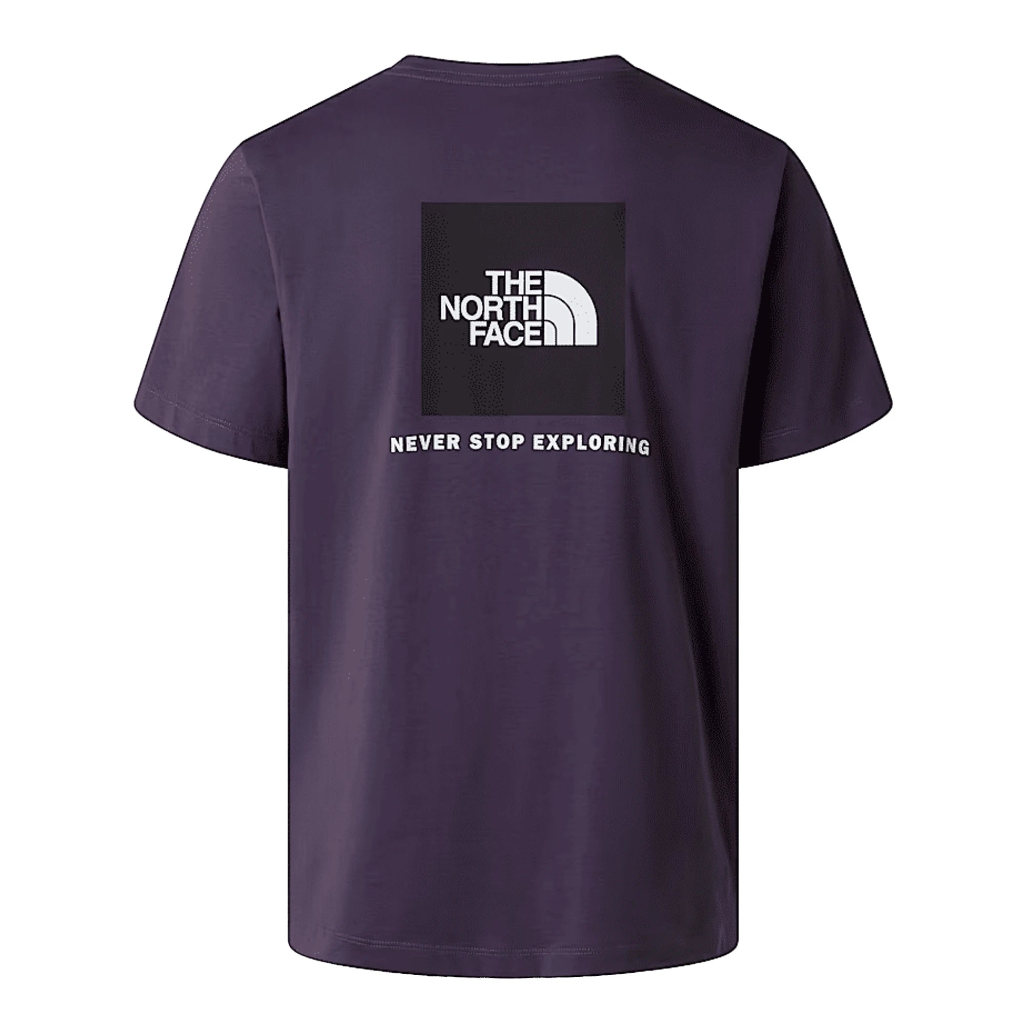 THE NORTH FACE T-shirt Evolution NSE Box Regular Uomo
