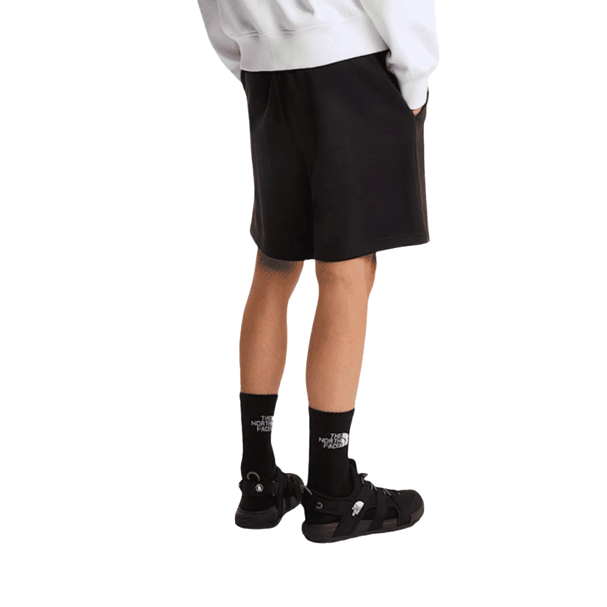 Shorts THE NORTH FACE M BOX NSE LIGHT REGULAR